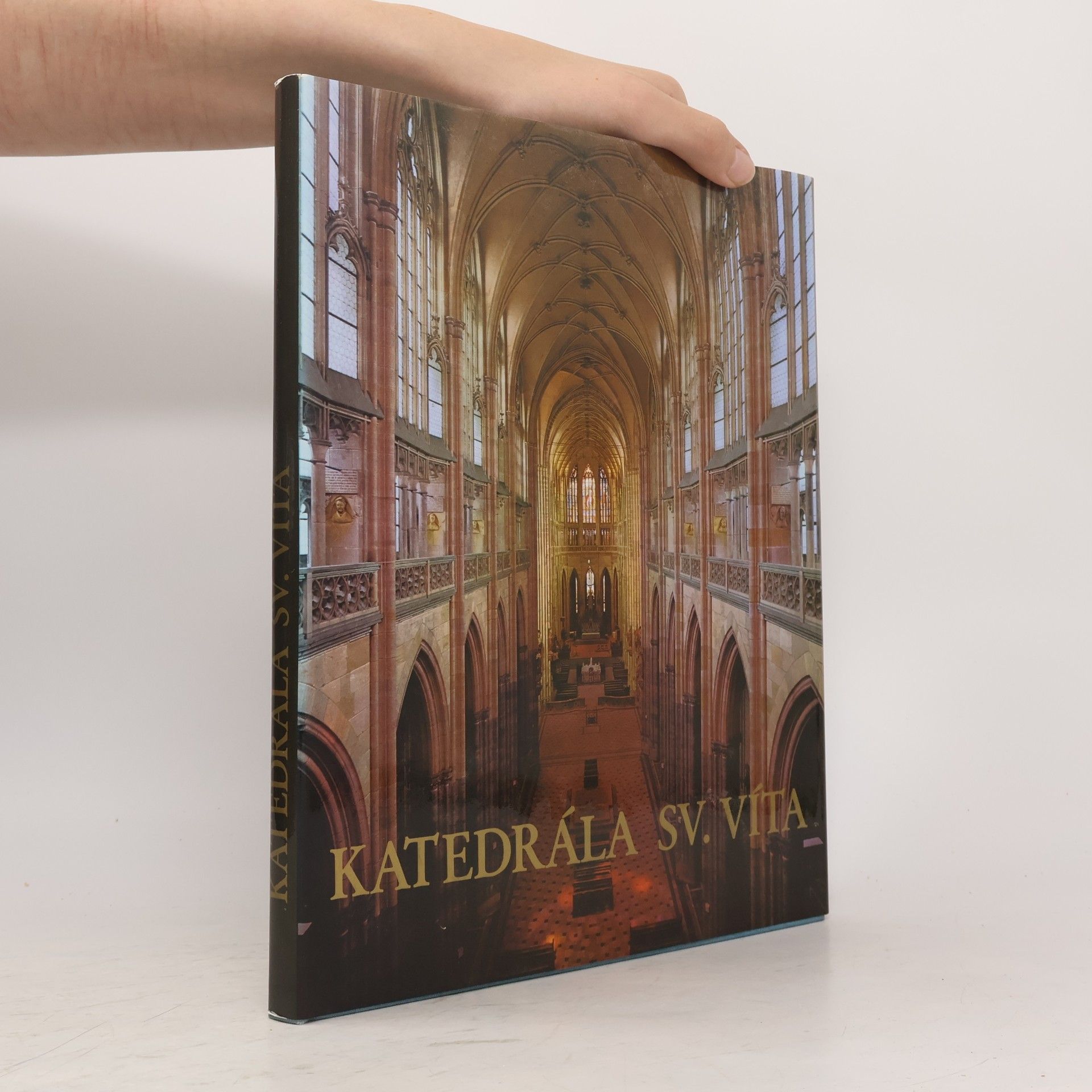 Jiří Burian Katedrála sv. Víta