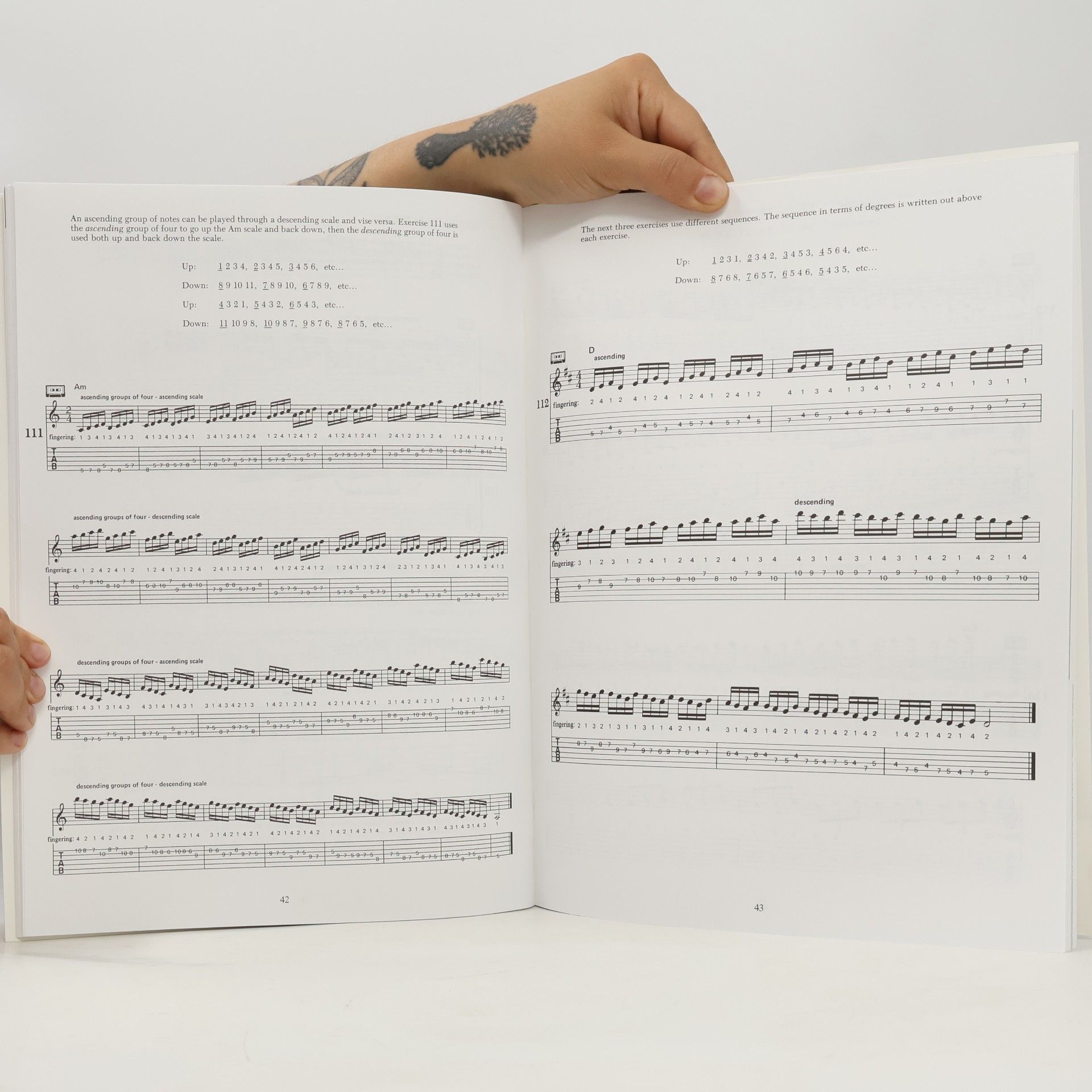 Troy Stetina Speed Mechanics for Lead Guitar