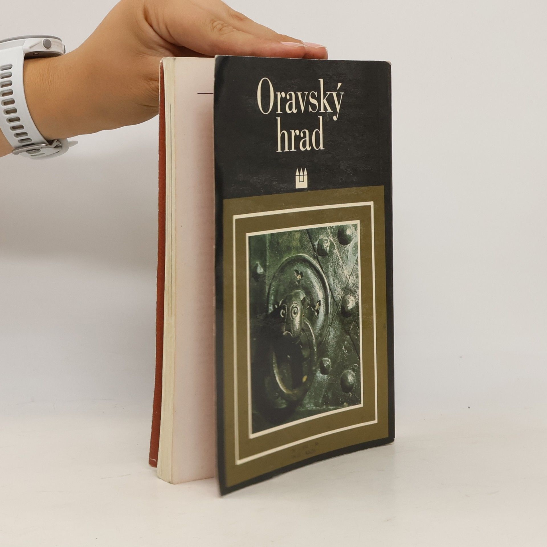 Peter Huba Oravský hrad
