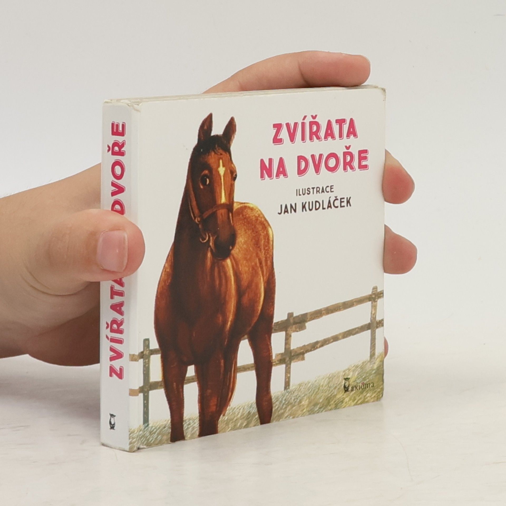 Jan Kudláček Zvířata na dvoře