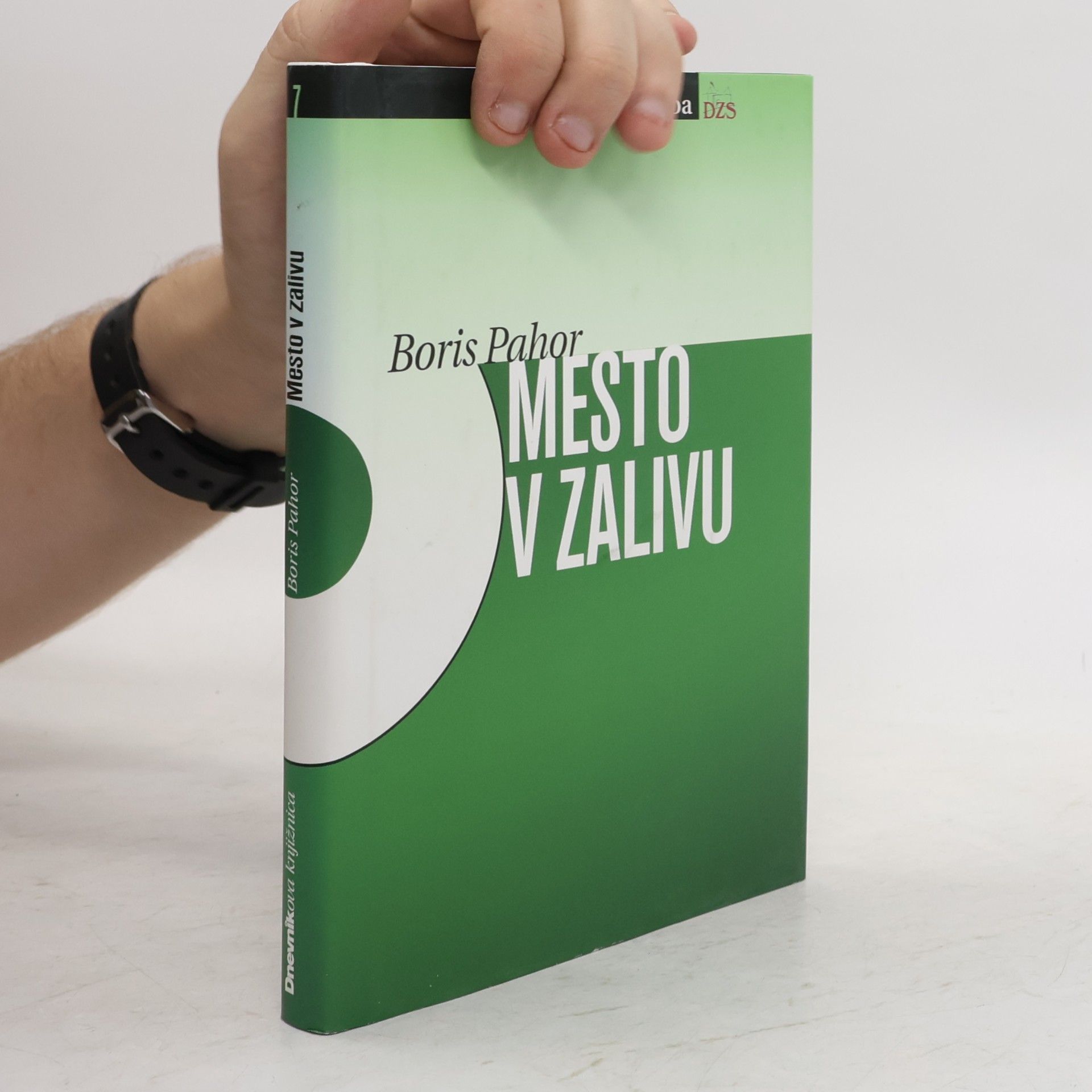 Boris Pahor Mesto v zalivu