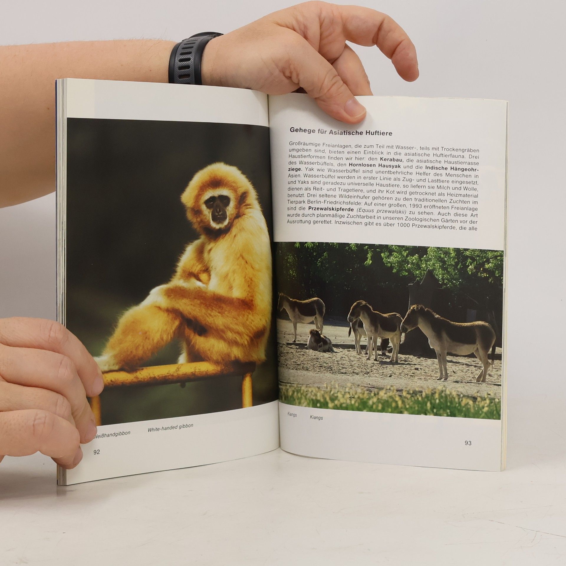 Bernhard Blaskiewitz Tierpark Berlin Friedrichsfelde