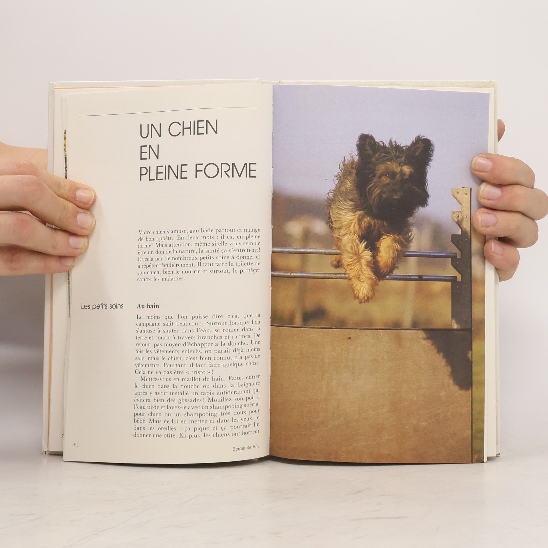 Karim Daoud J'aime mon chien