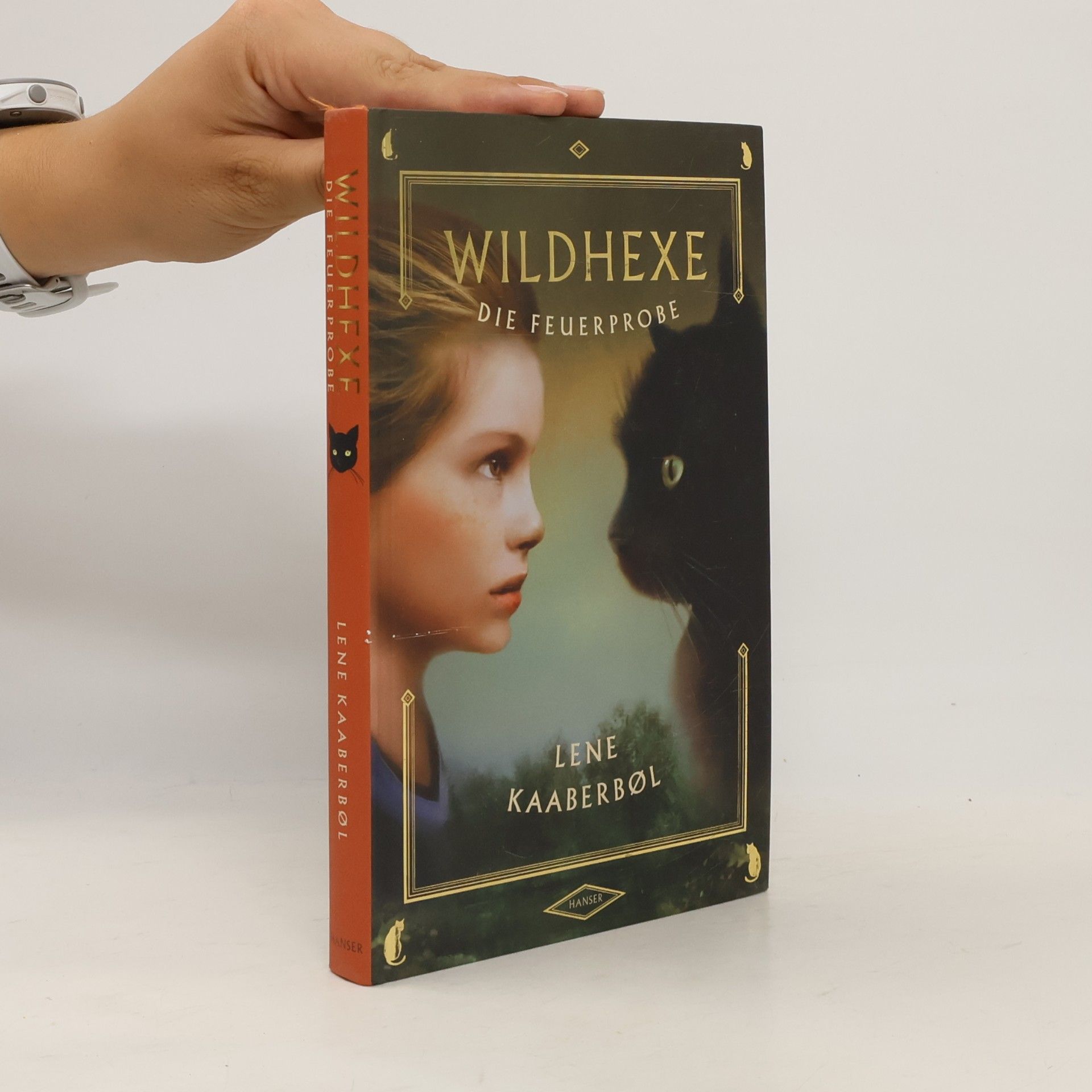 Lene Kaaberbøl Wildhexe die Feuerprobe