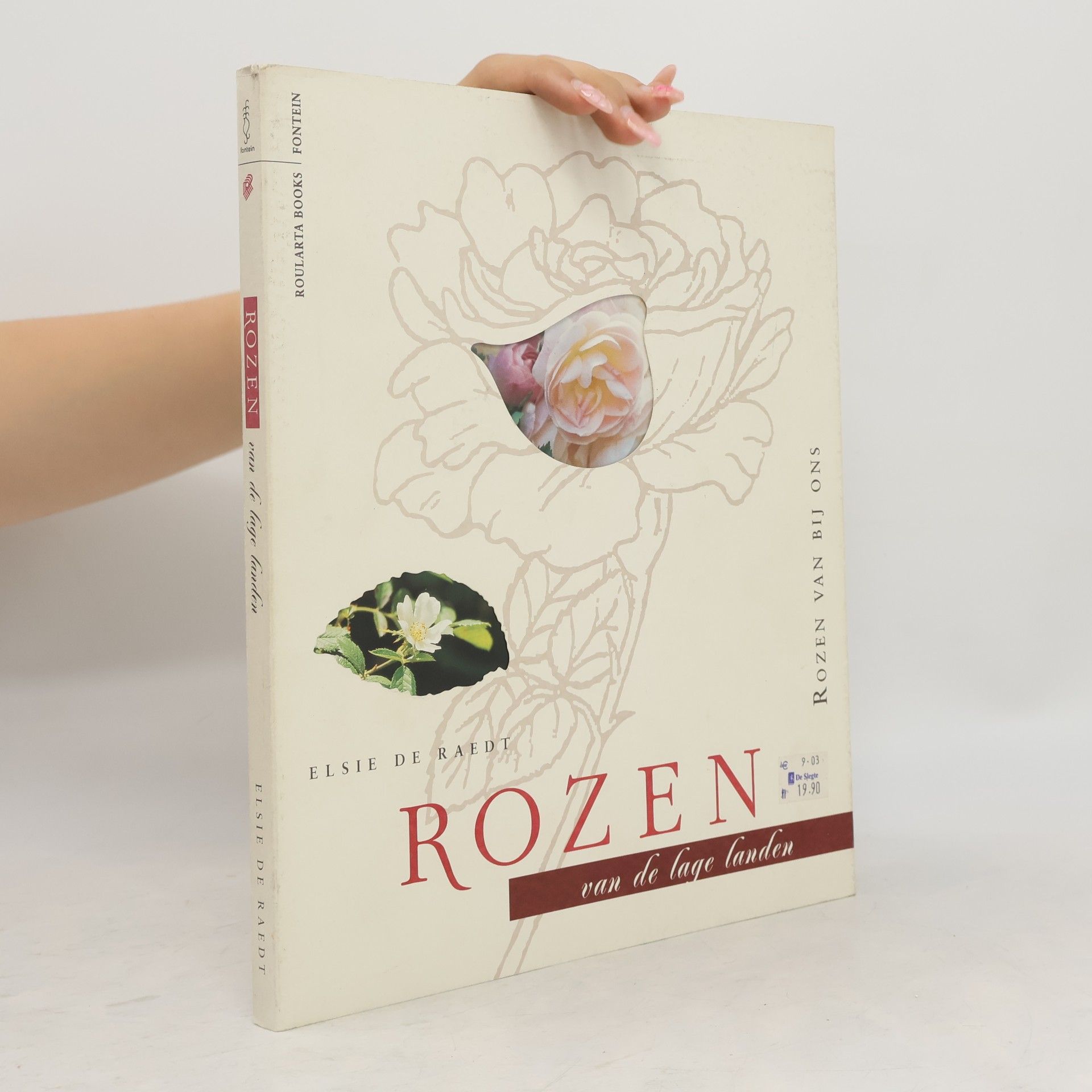 Elsie De Raedt Rozen van de Lage Landen