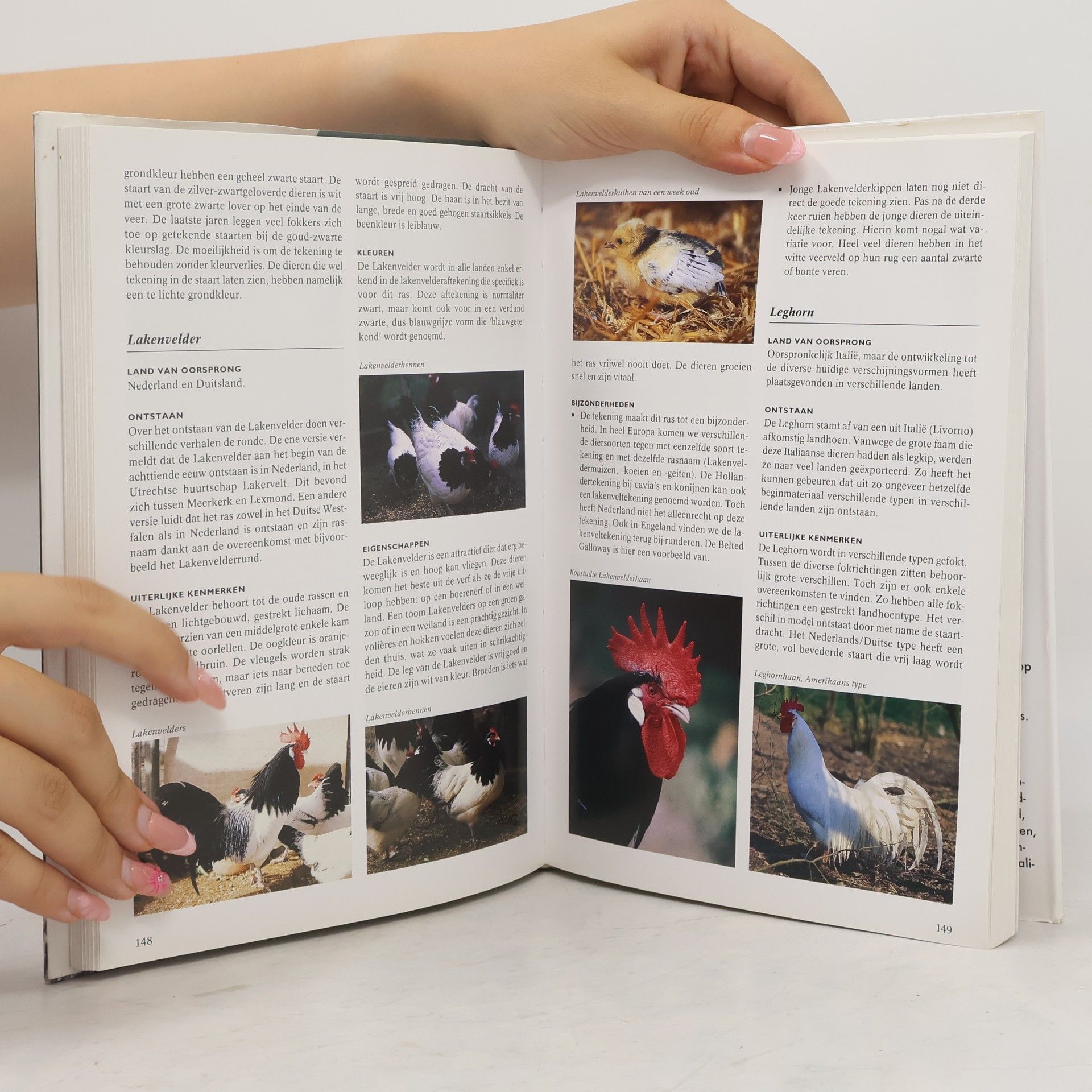 Aad Rijs Geillustreerde kippenencyclopedie
