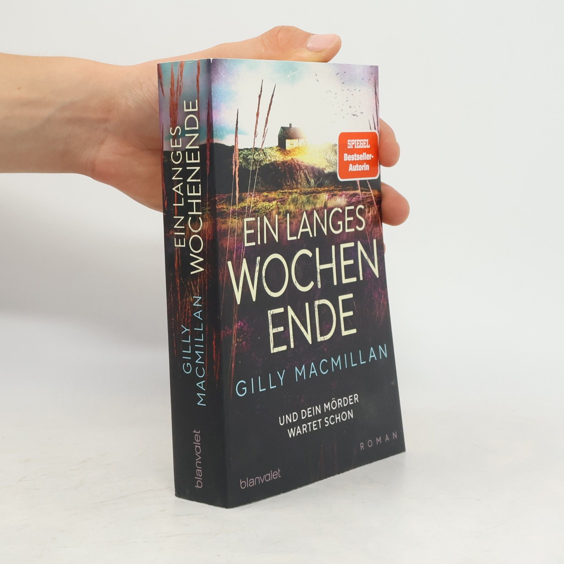 Gilly Macmillan Ein langes Wochenende