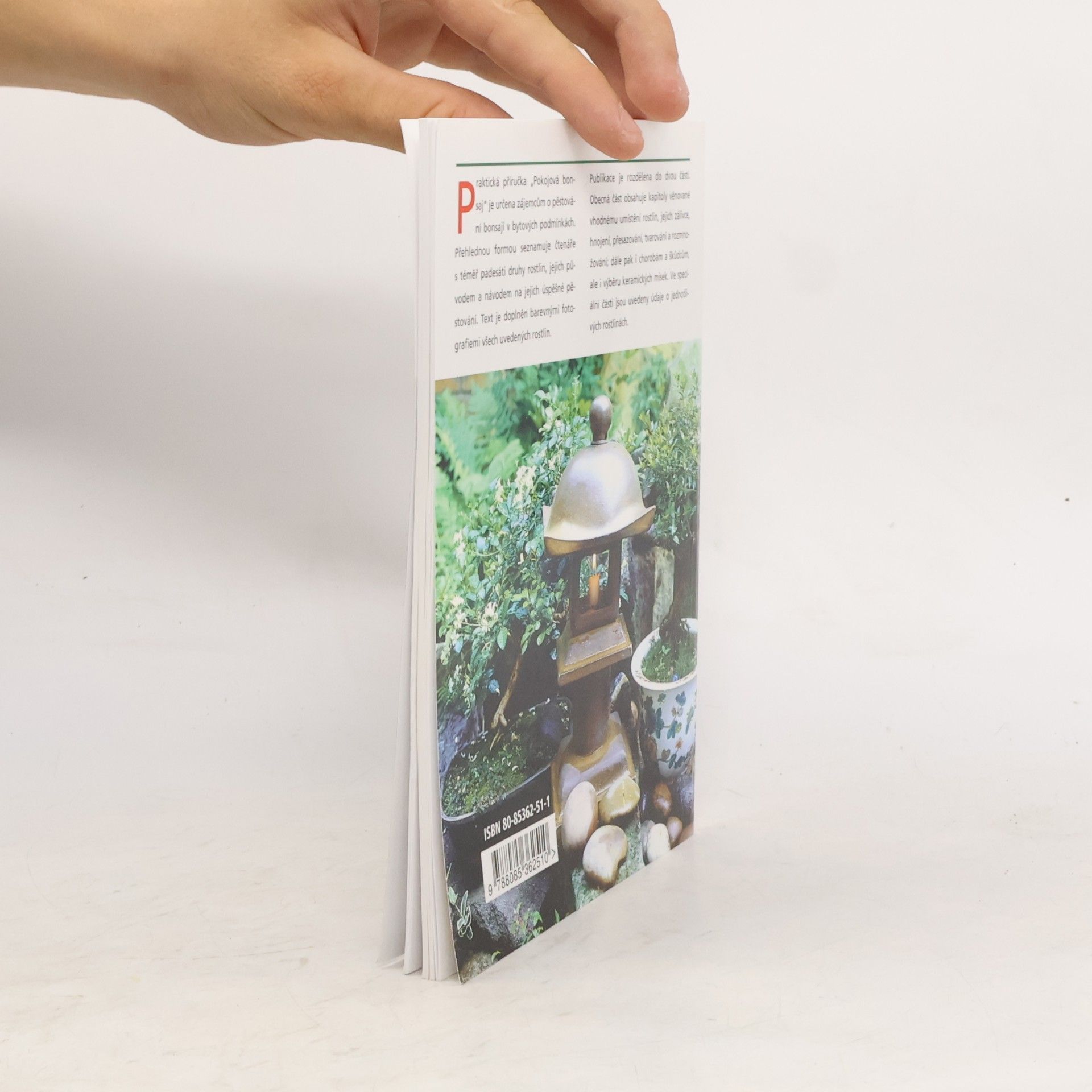 Jindřich Votýpka Pokojová bonsai