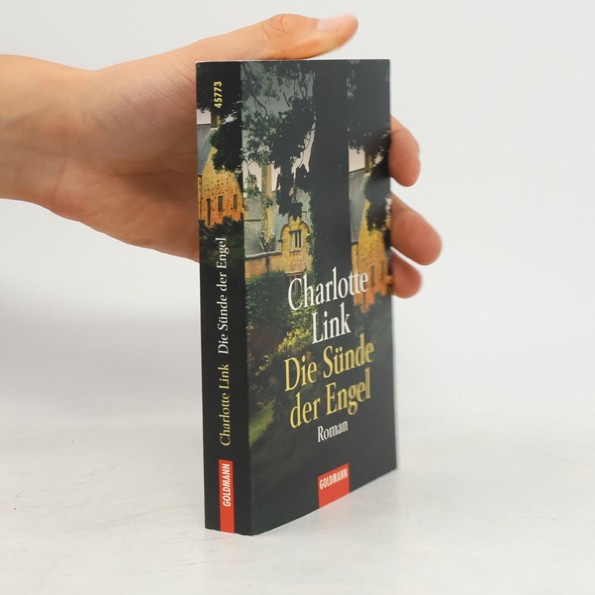Charlotte Link Die Sünde der Engel