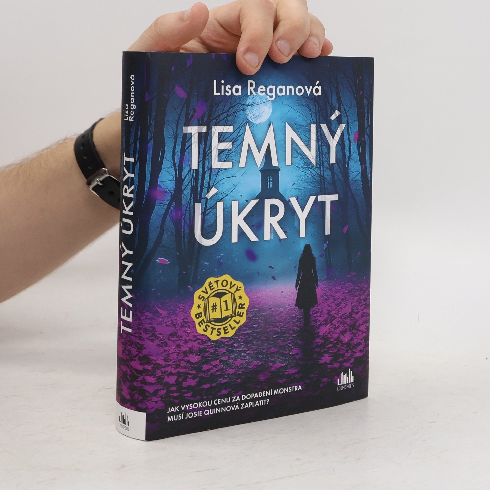Lisa Regan Temný úkryt