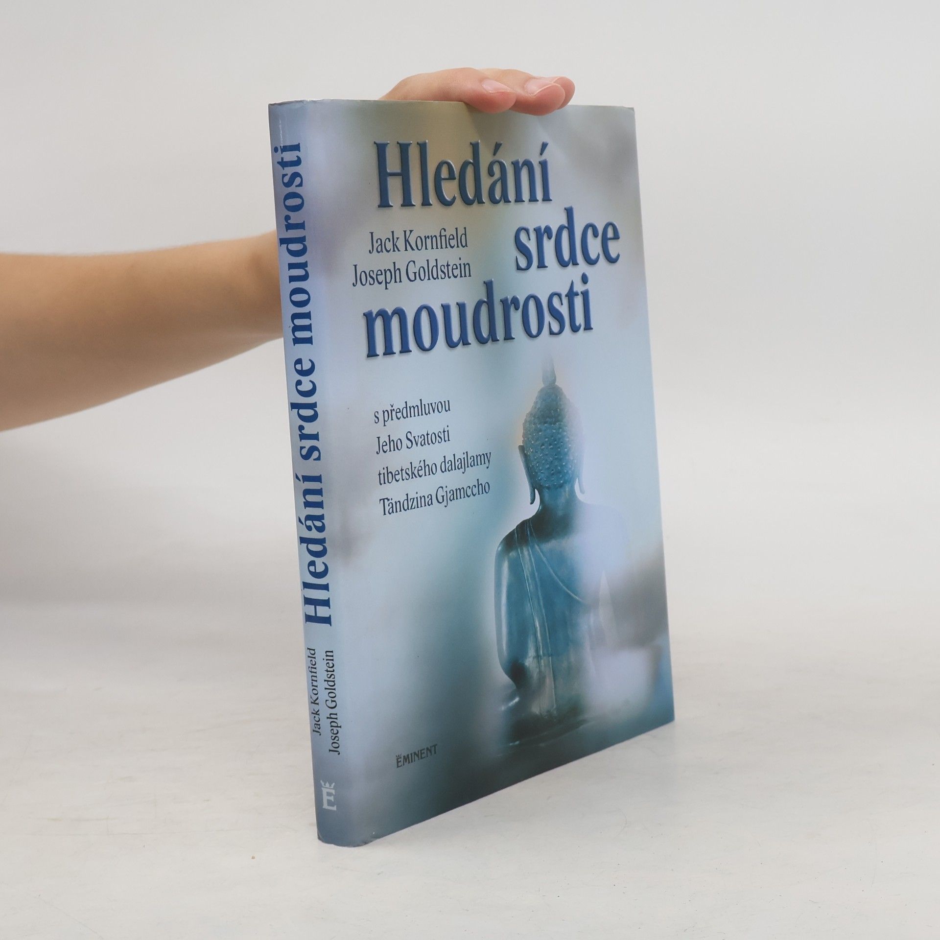Joseph Goldstein Hledání srdce moudrosti