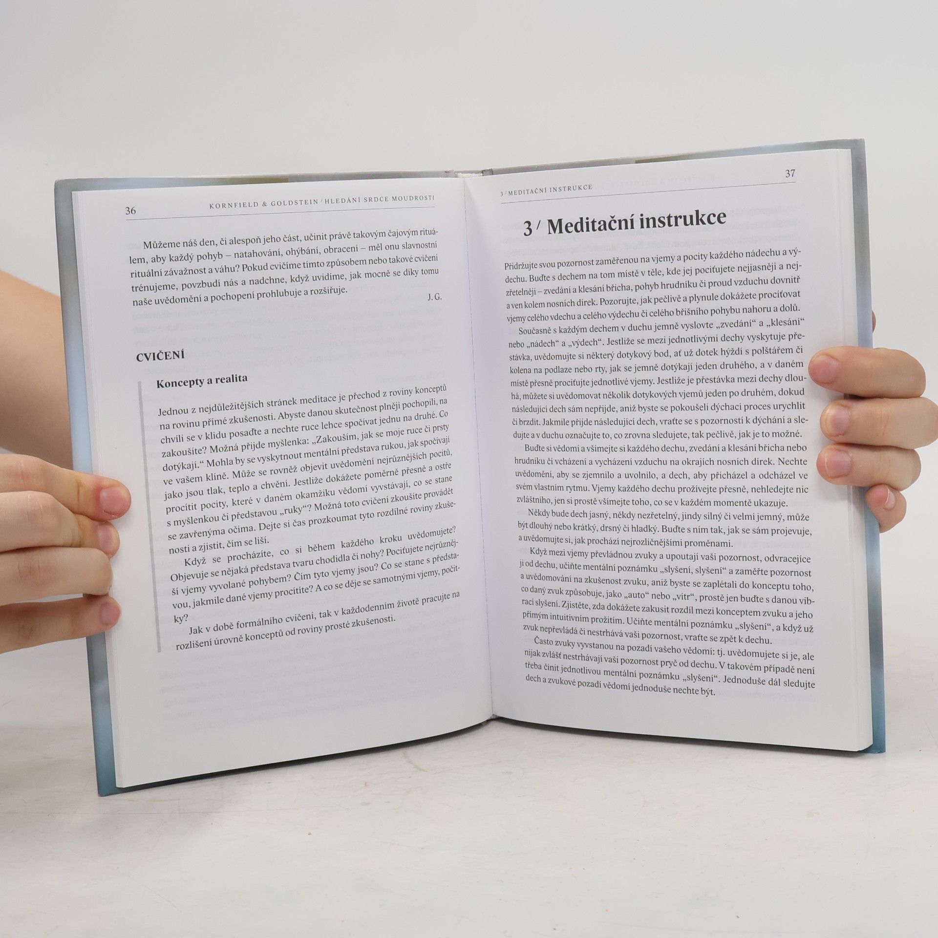 Jack Kornfield Hledání srdce moudrosti