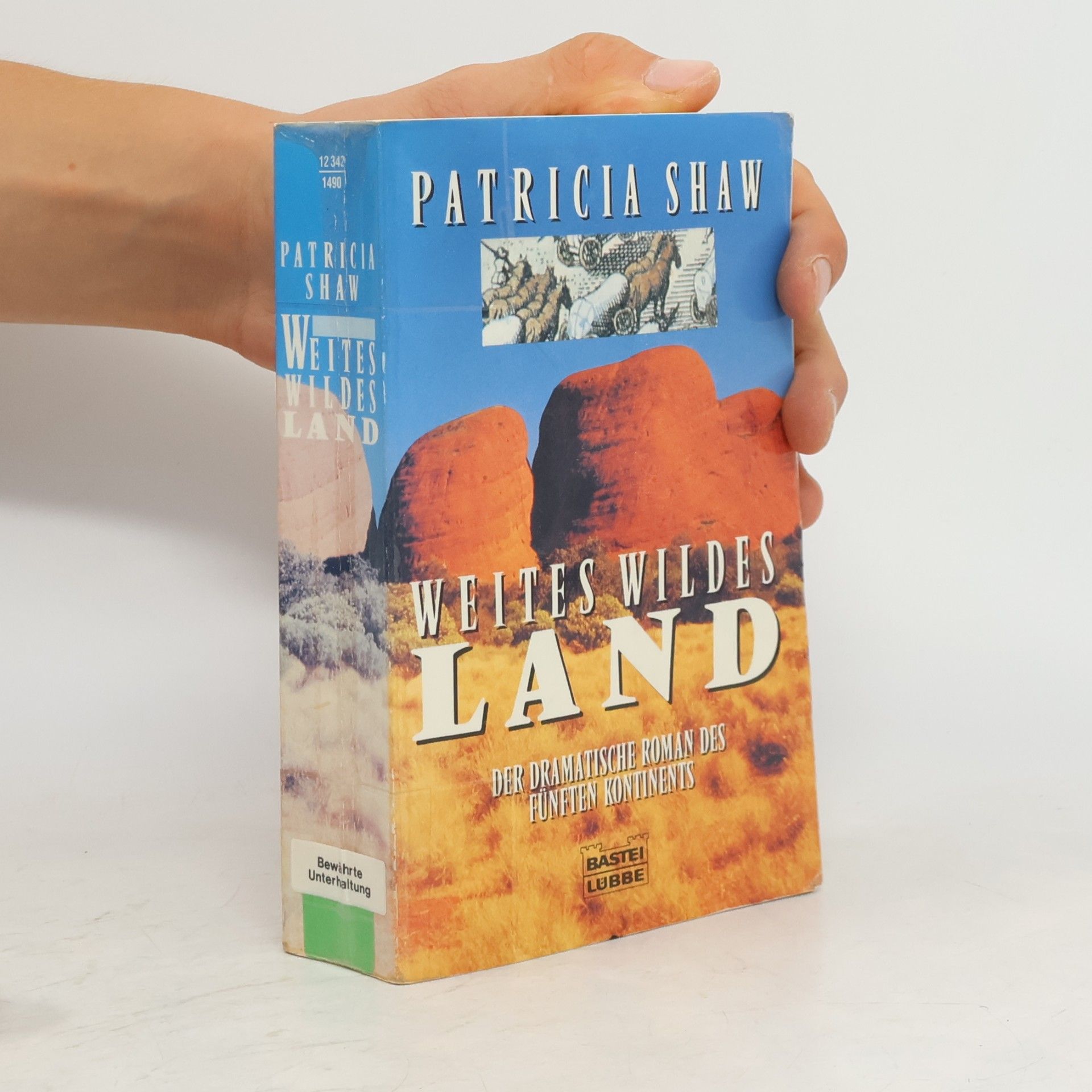 Patricia Shaw Weites wildes Land