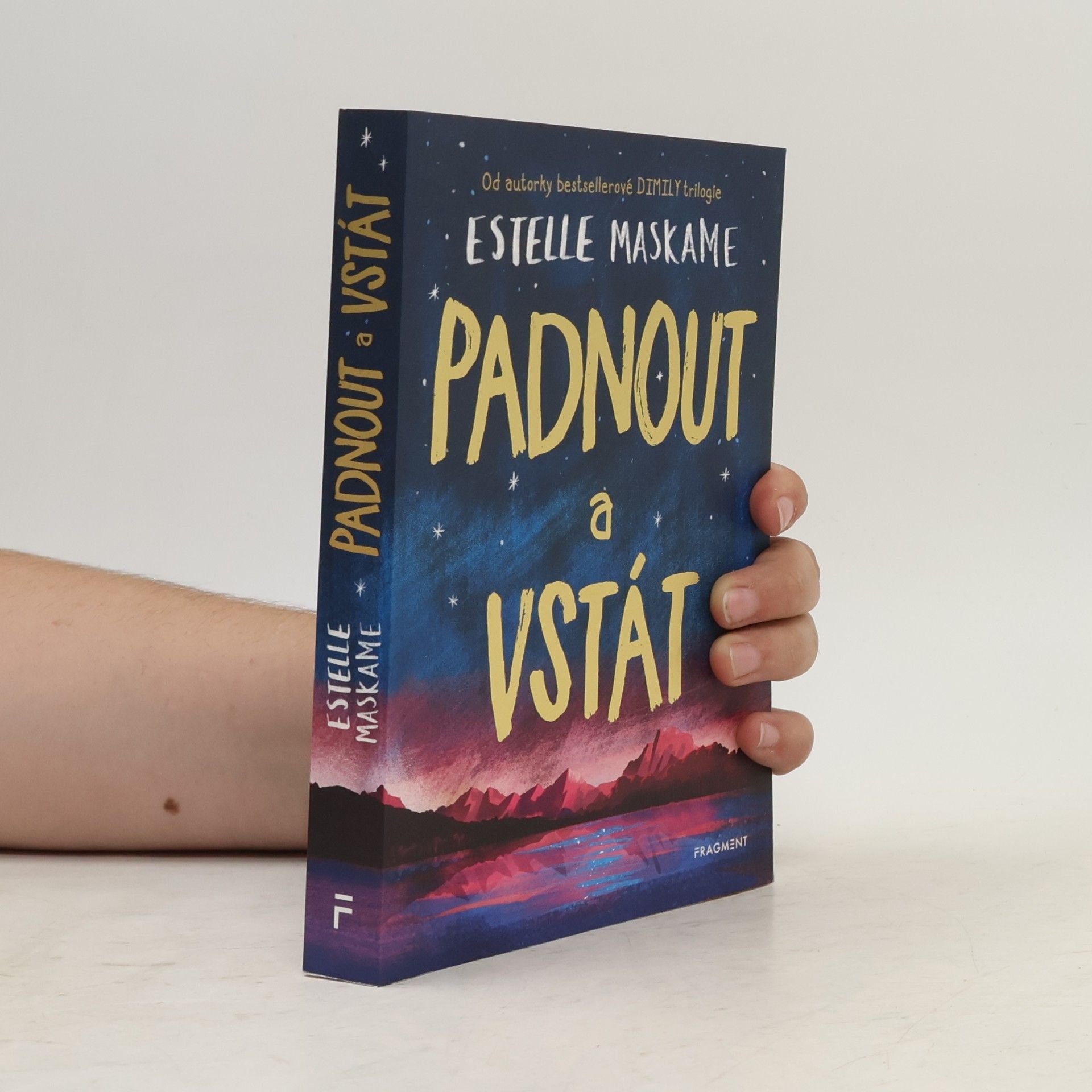 Estelle Maskame Padnout a vstát