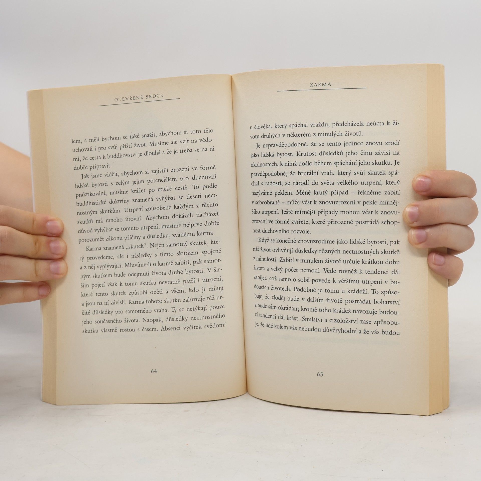Nicholas Vreeland Otevřené srdce. Soucítění v denním životě