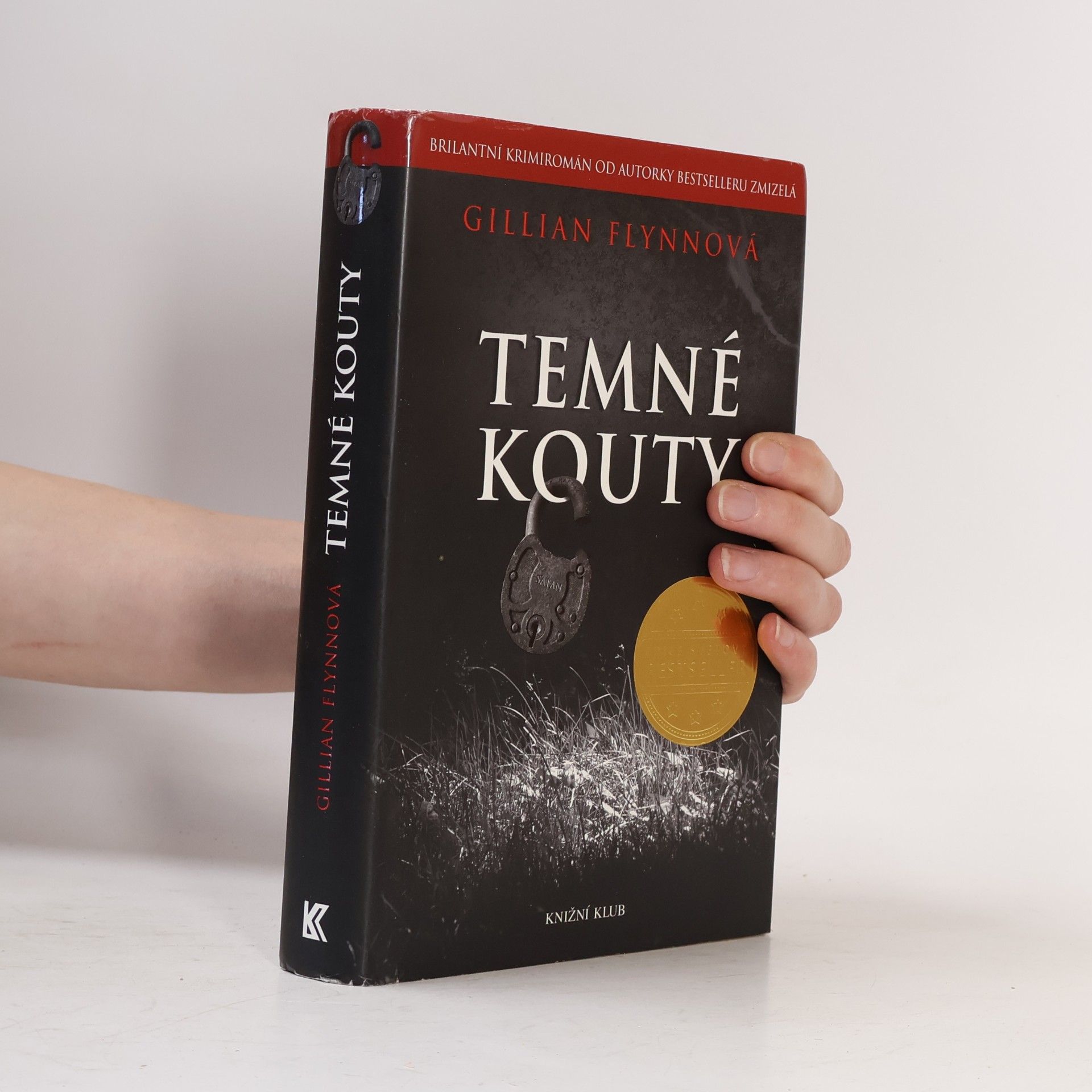 Gillian Flynn Temné kouty