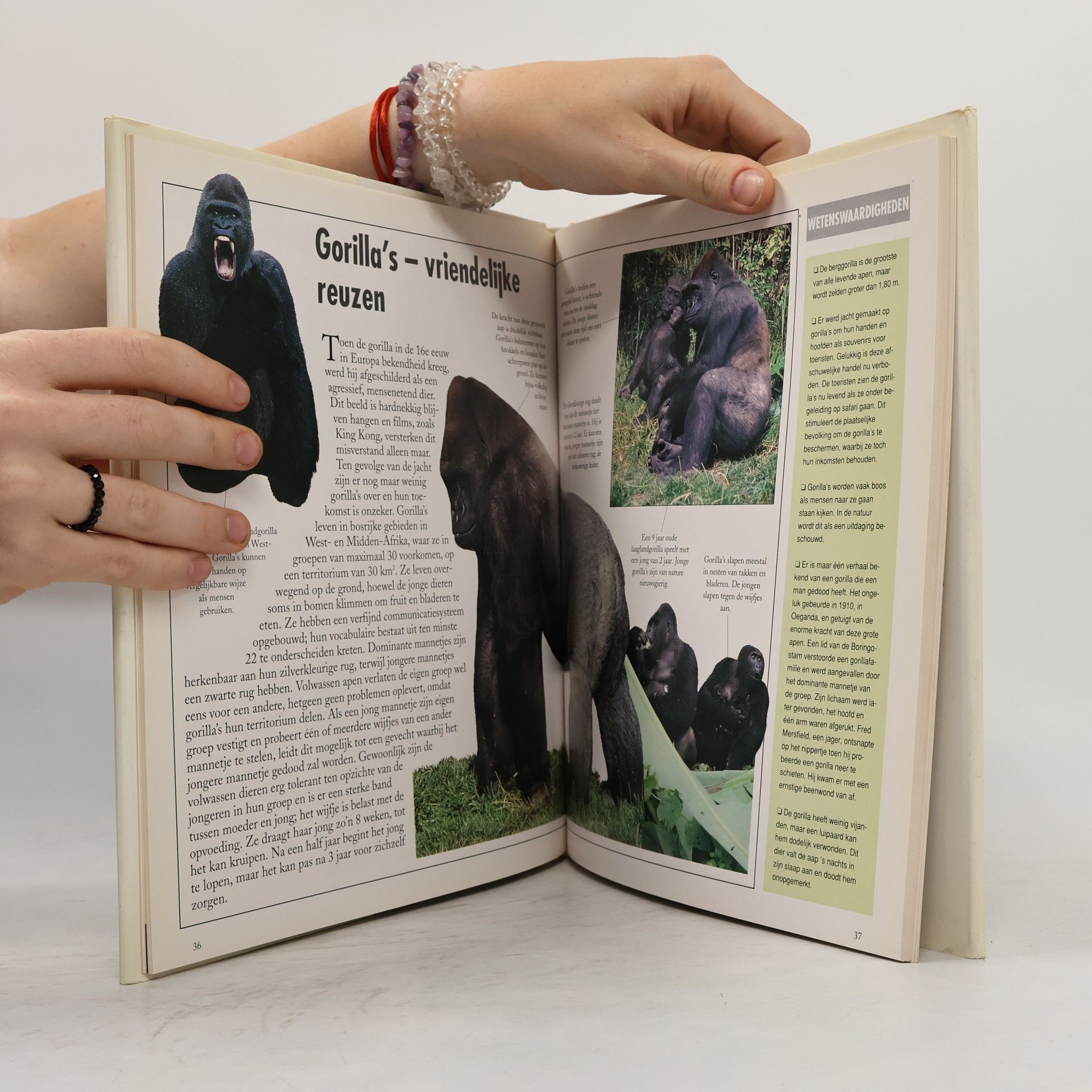 David Alderton De Natuur in Beeld: Zoogdieren