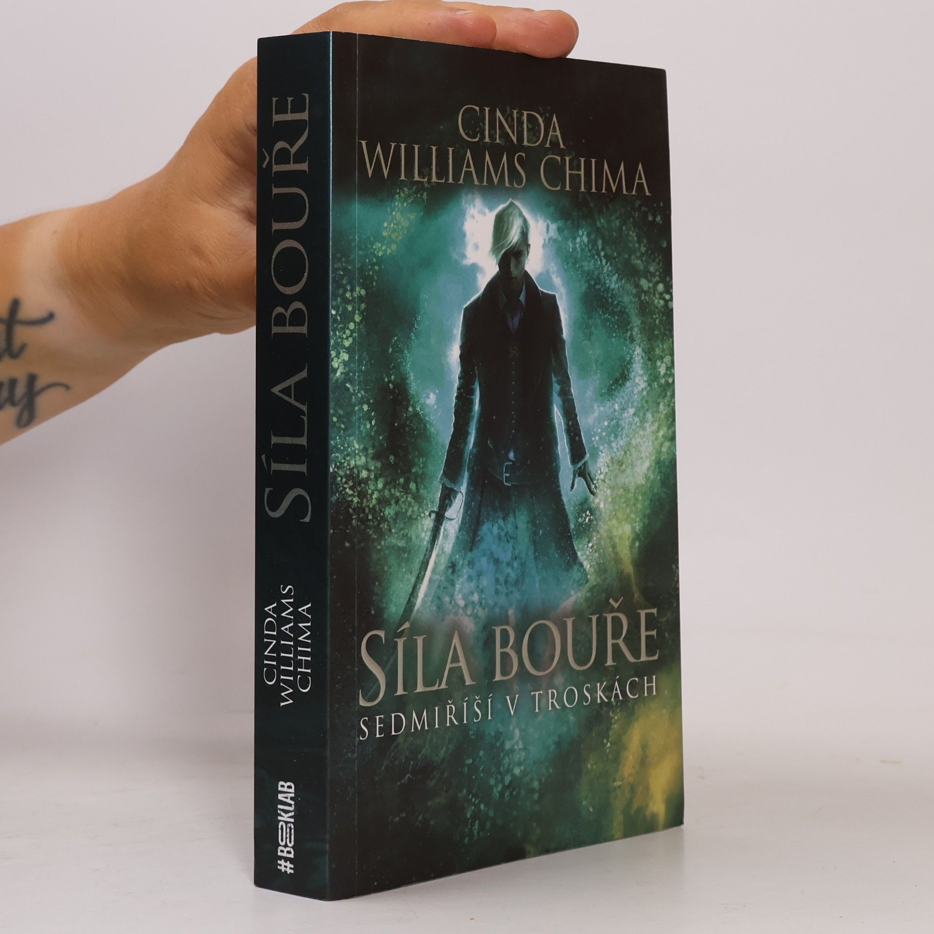 Cinda Williams Chima Sedmiříší v troskách. Síla bouře