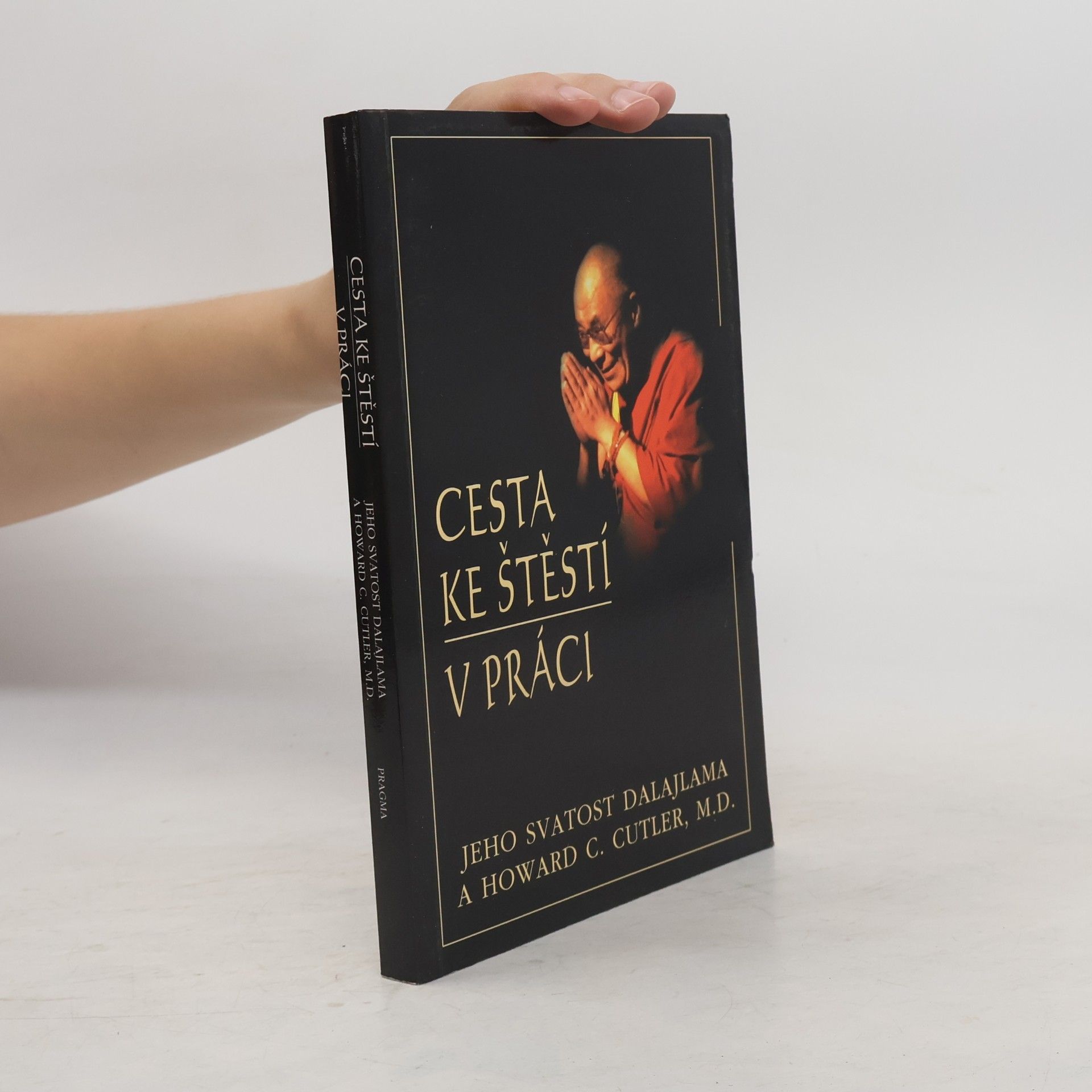 Bstan\'dzinrgyamtsho Cesta ke štěstí v práci