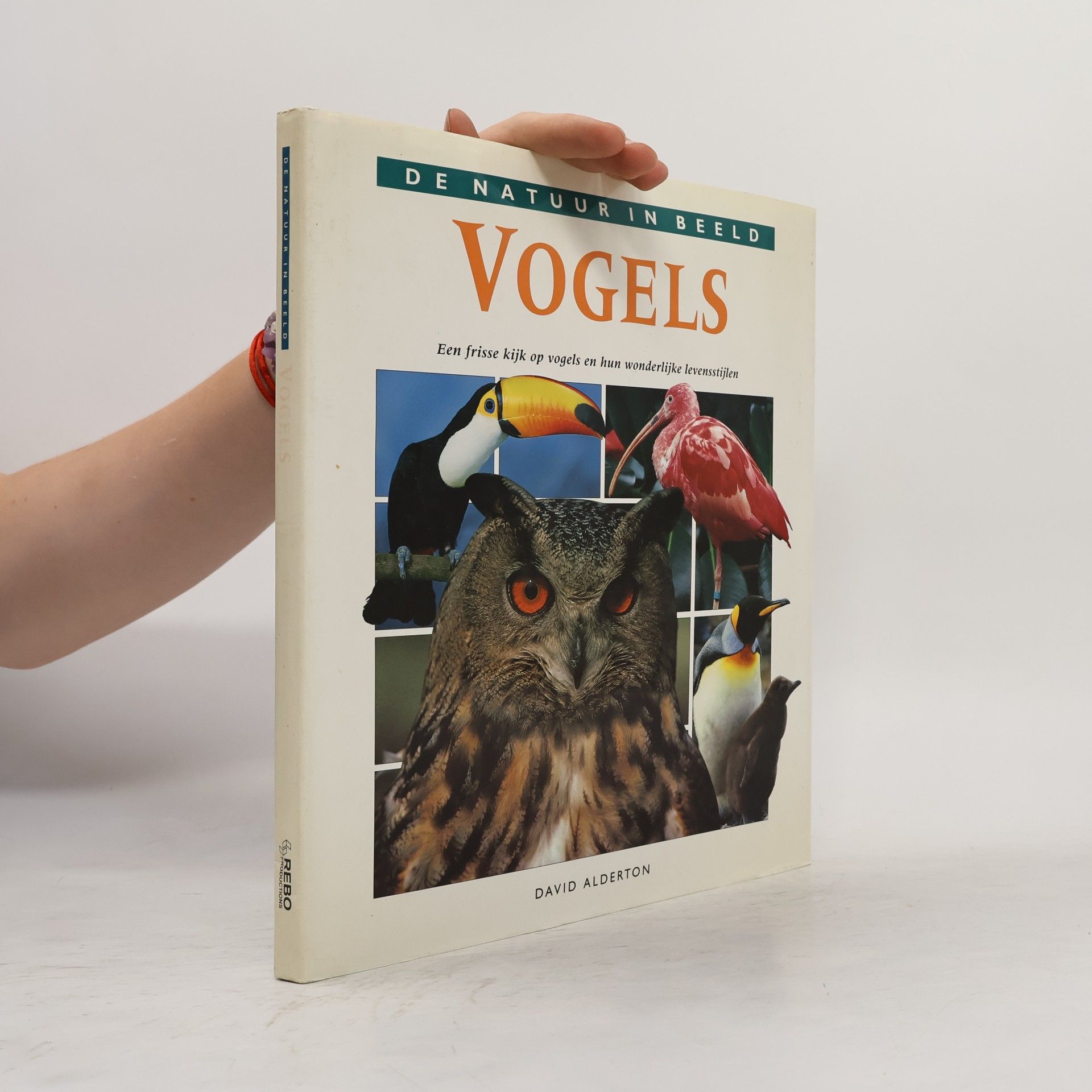 De Natuur in Beeld: Vogels