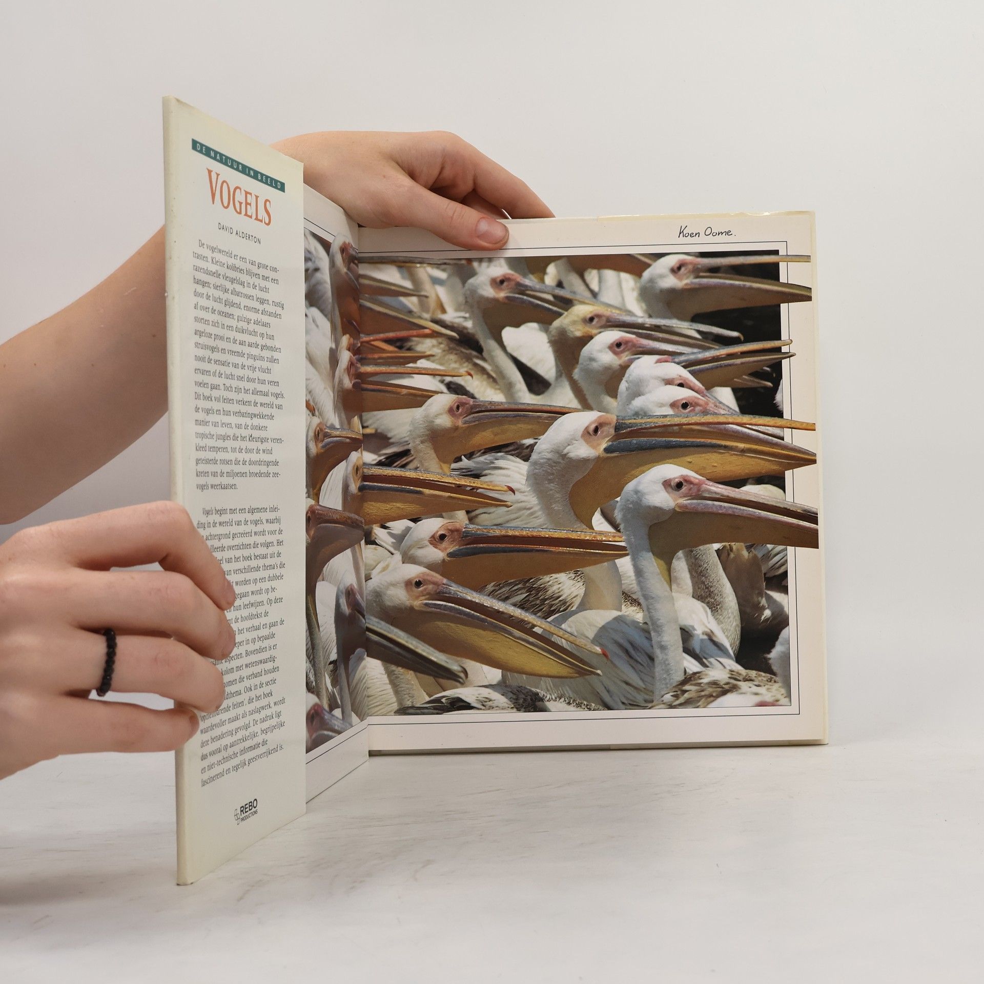 Don Harper De Natuur in Beeld: Vogels