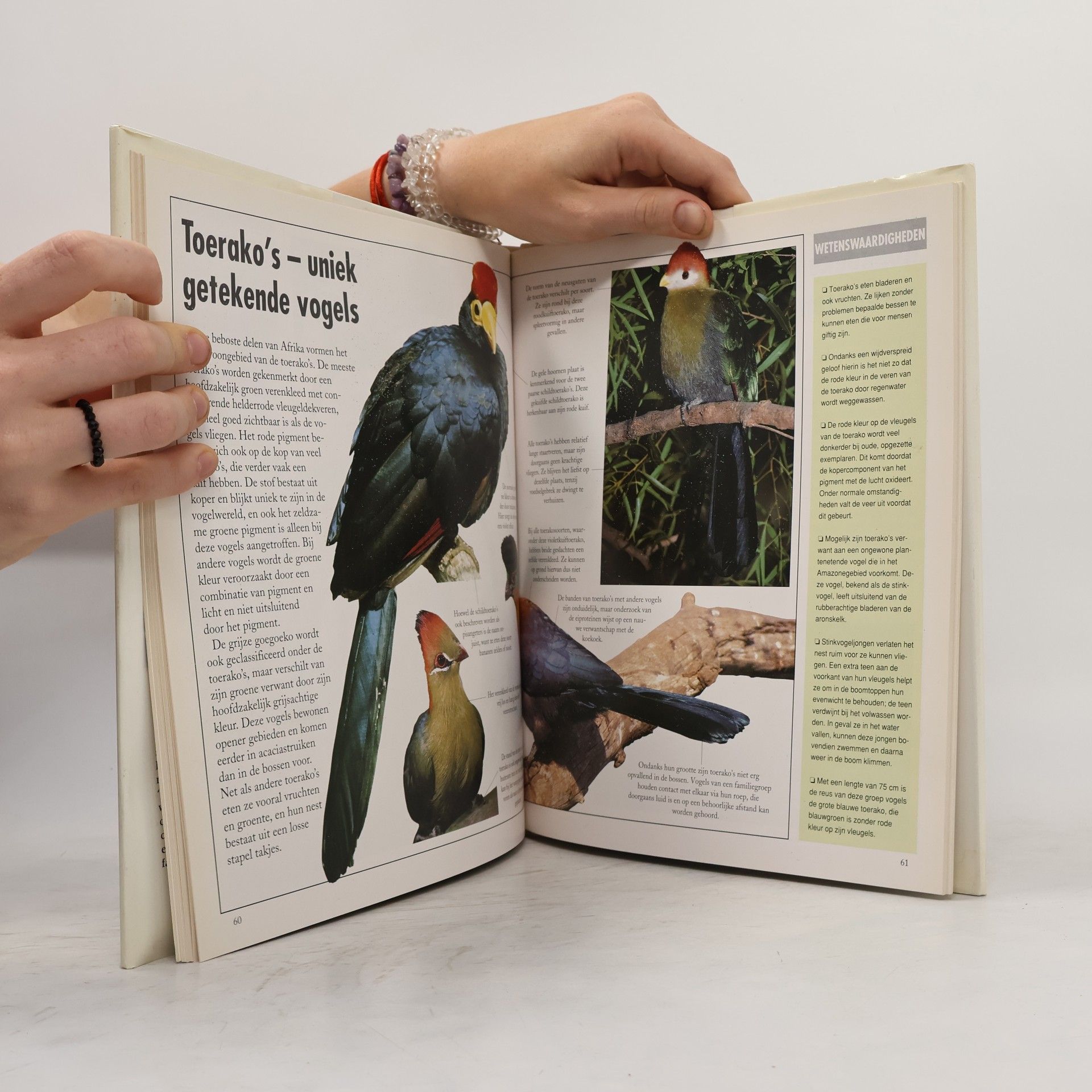 Don Harper De Natuur in Beeld: Vogels