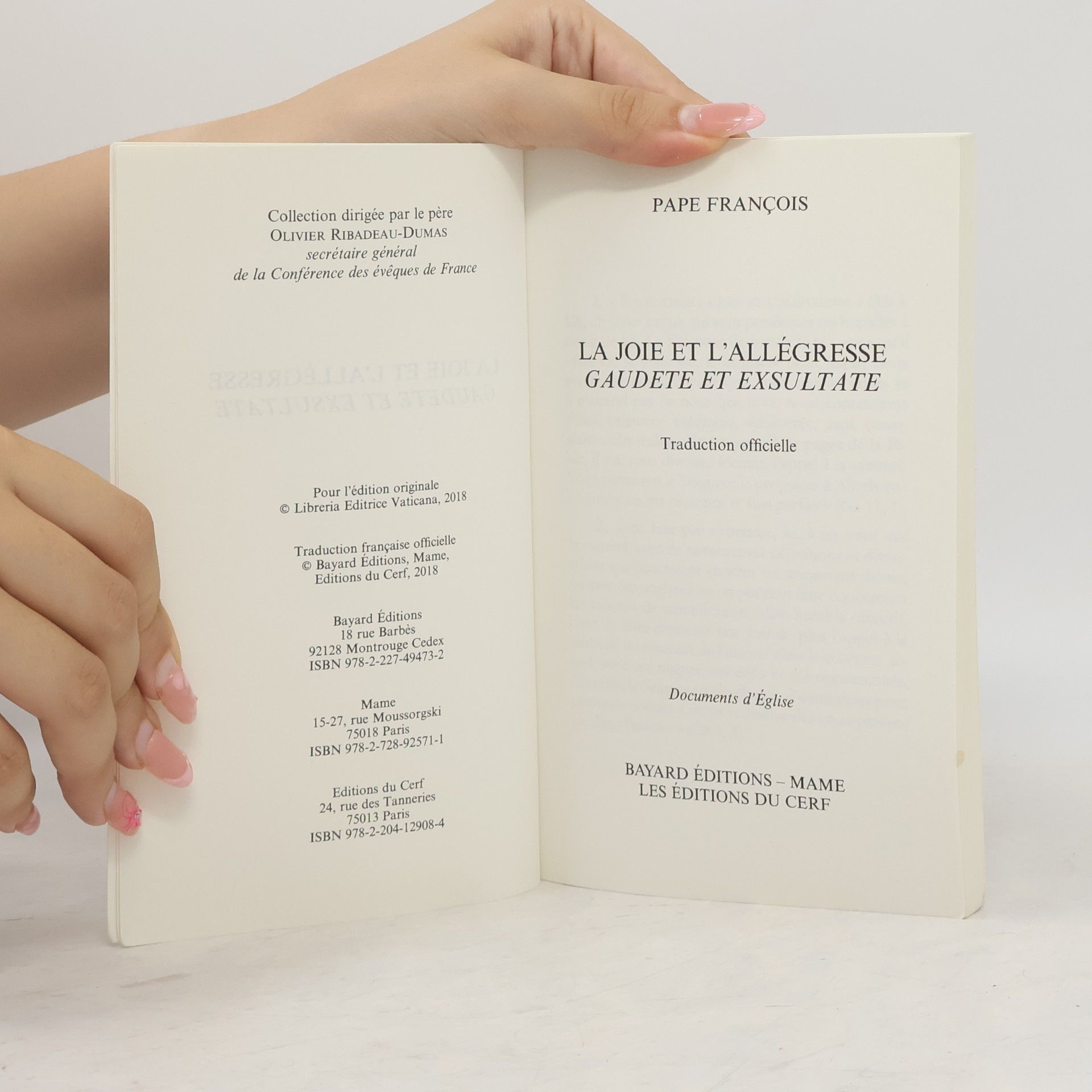 Pape François La joie et l'allégresse