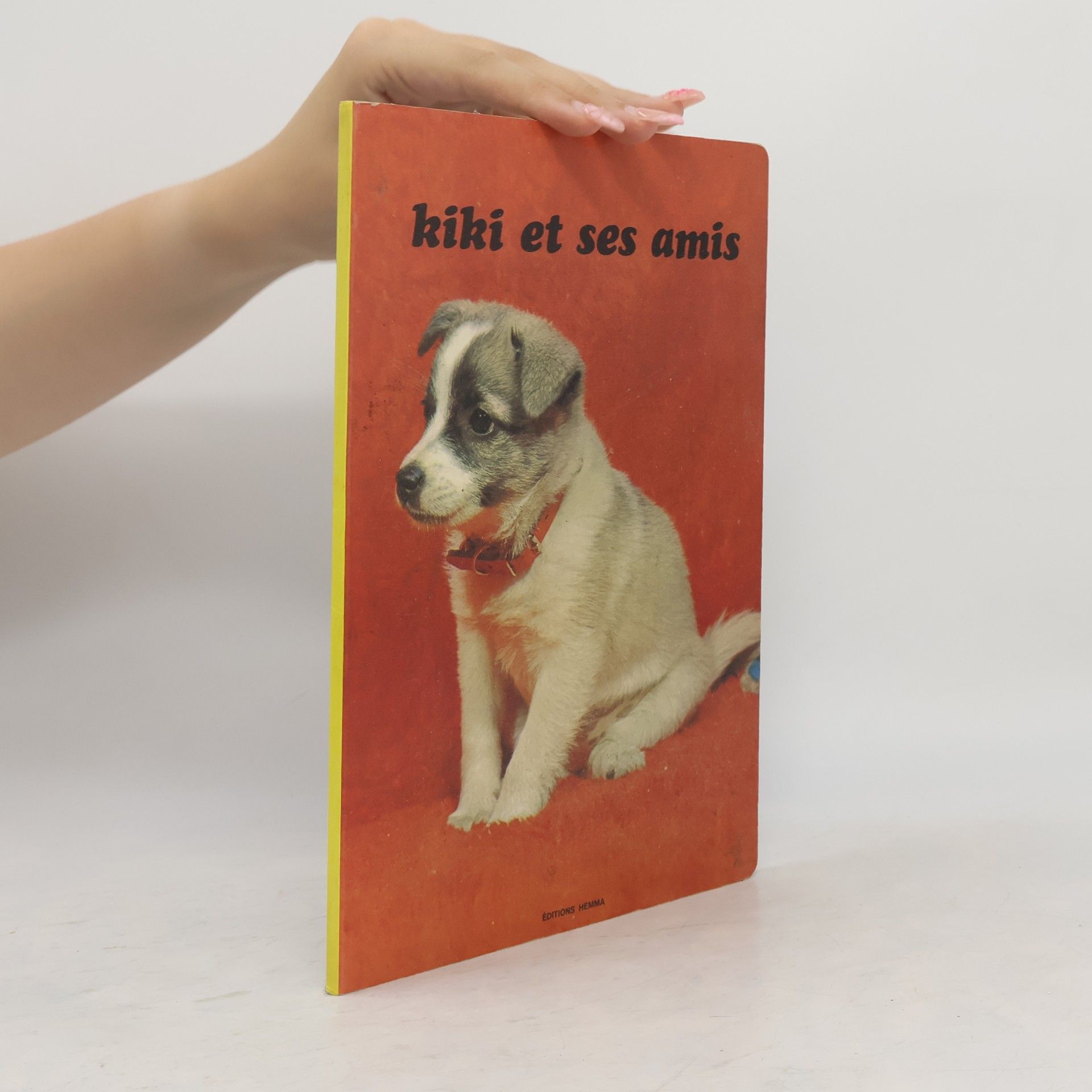 Collectif d'auteurs Kiki et ses amis