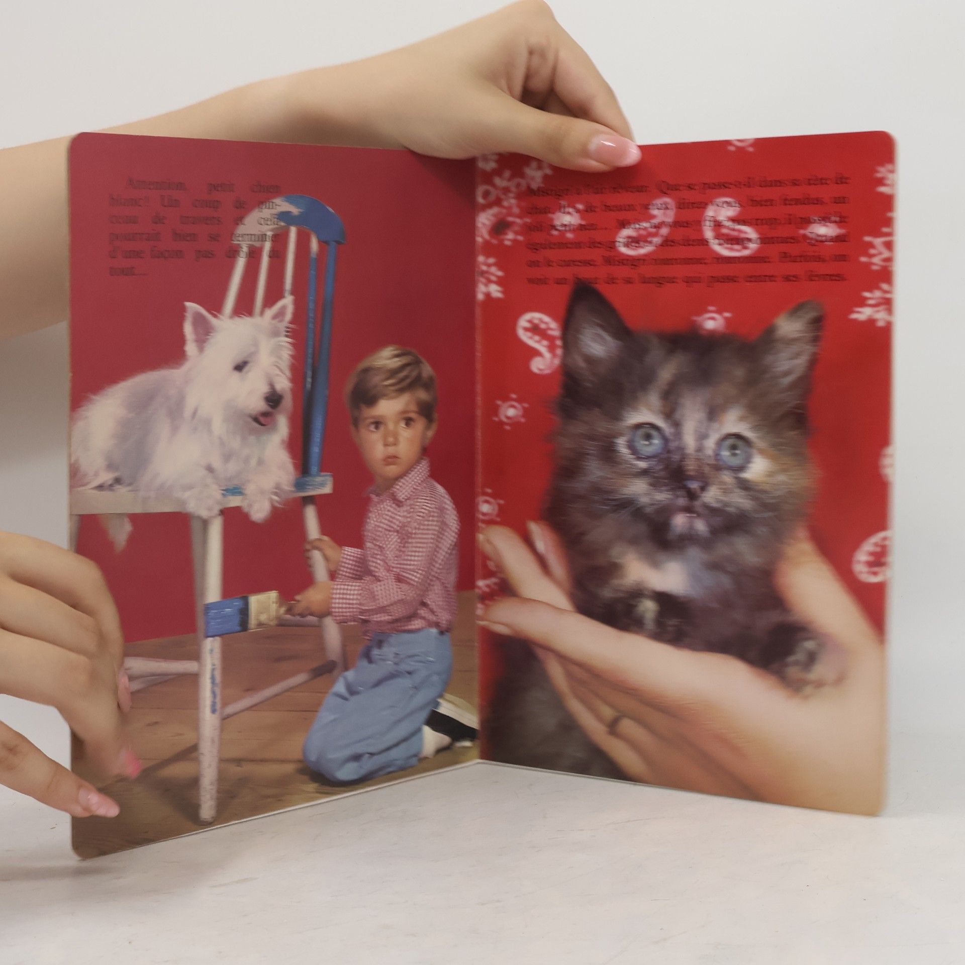 Collectif d'auteurs Kiki et ses amis