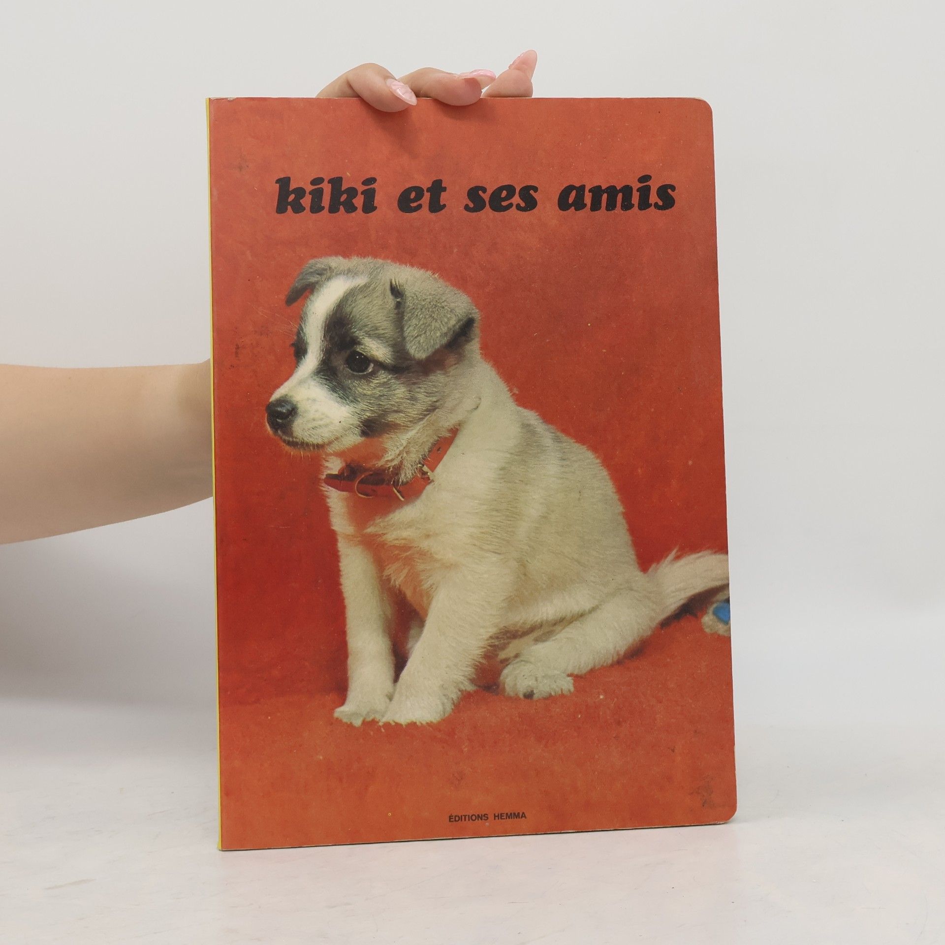 Collectif d'auteurs Kiki et ses amis