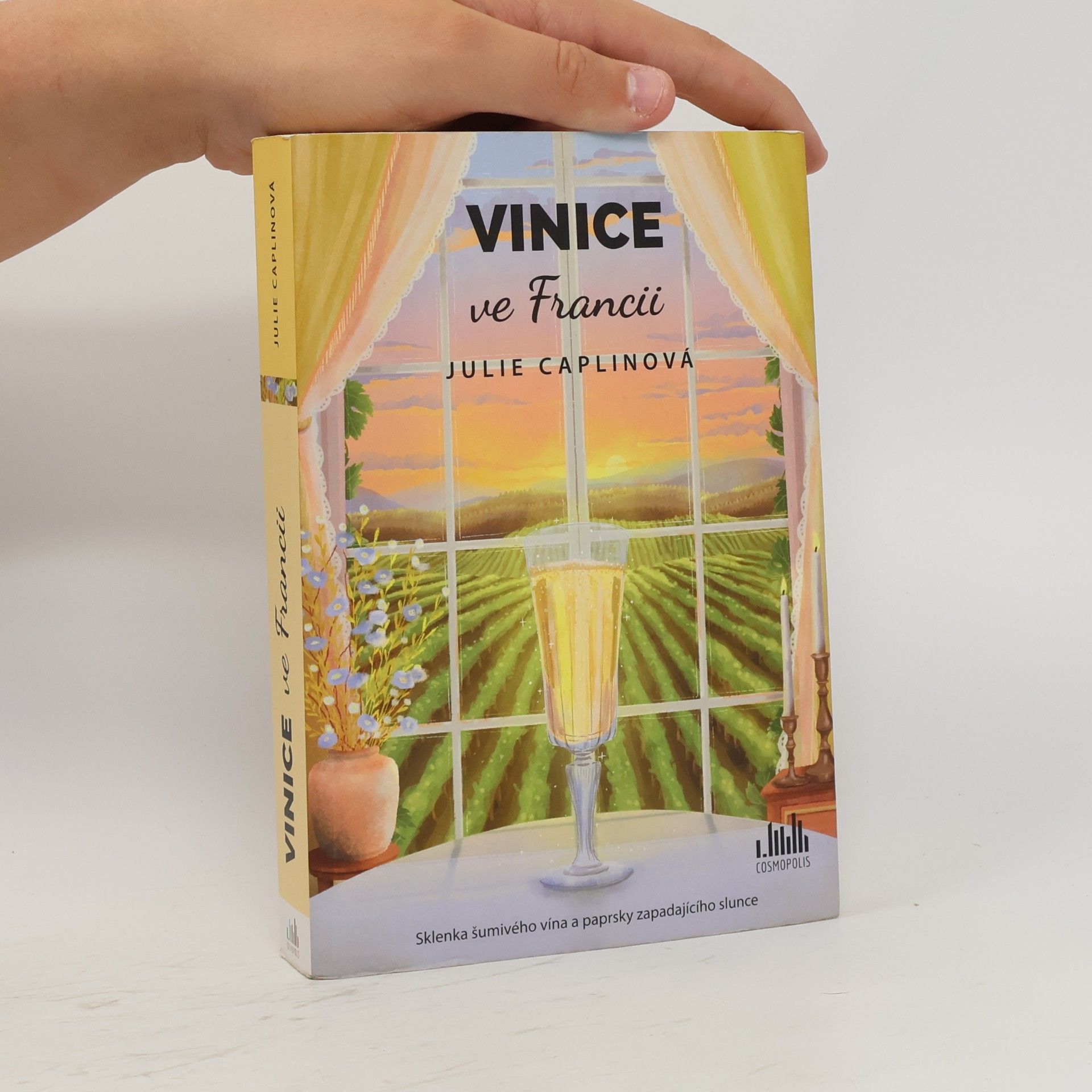 Julie Caplin Vinice ve Francii