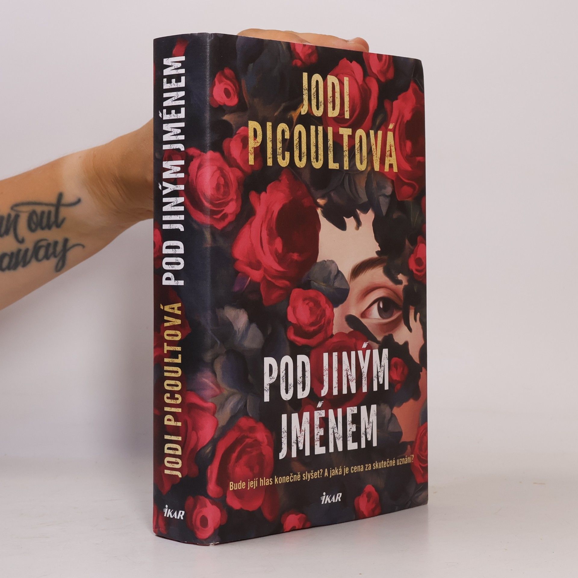 Jodi Picoult Pod jiným jménem