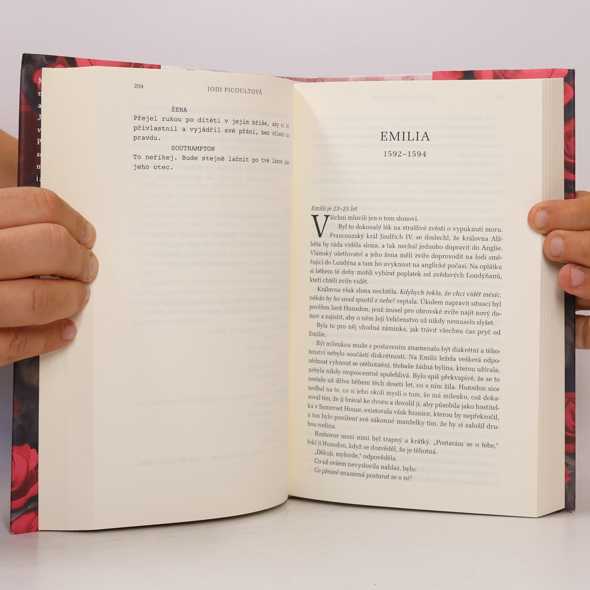 Jodi Picoult Pod jiným jménem