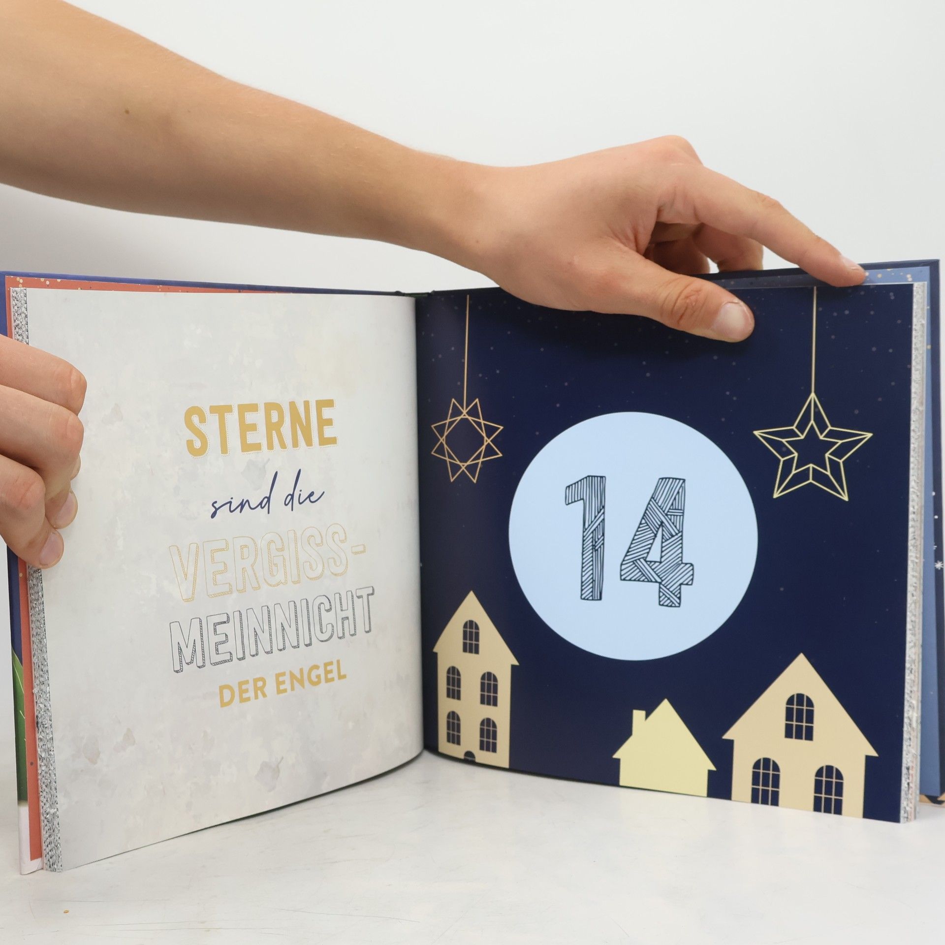 Eva-Maria Berg Mein Adventskalender-Buch: Origami Christmas