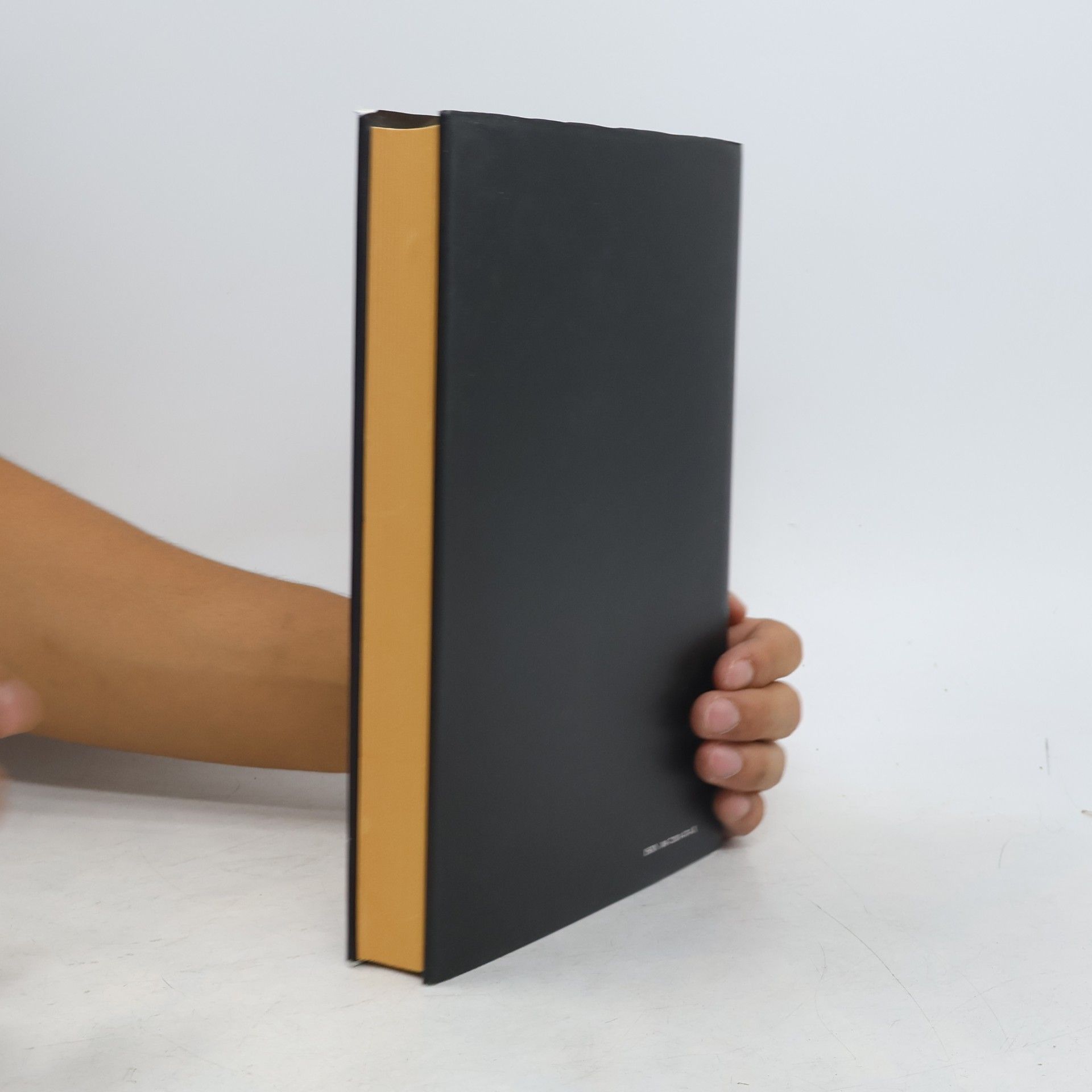 Jindřich Vybíral Mladí mistři: Architekti ze školy Otto Wagnera na Moravě a ve Slezsku