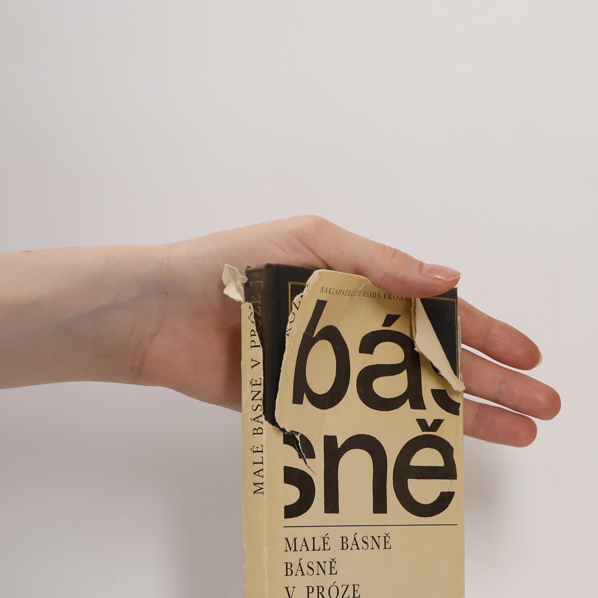 Charles Baudelaire Malé básně v próze