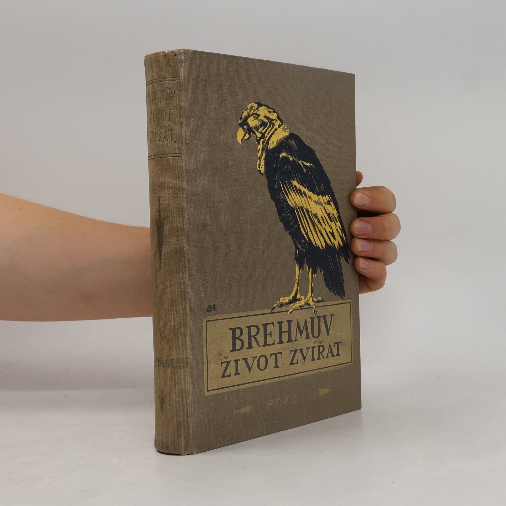 Alfred Edmund Brehm Brehmův ilustrovaný život zvířat V. Ptáci 2