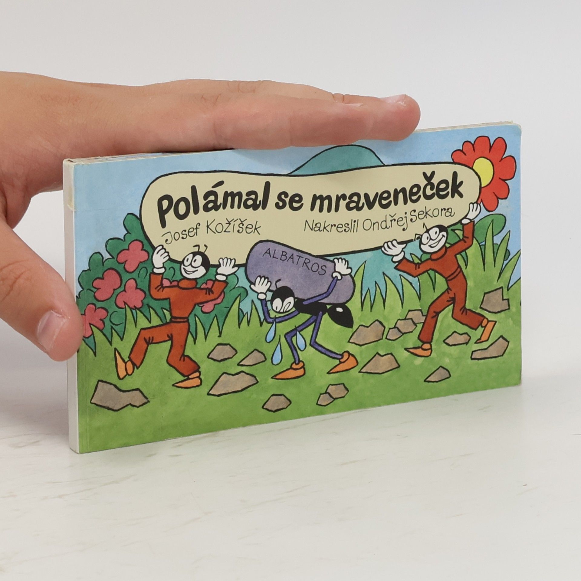 Polámal se mraveneček