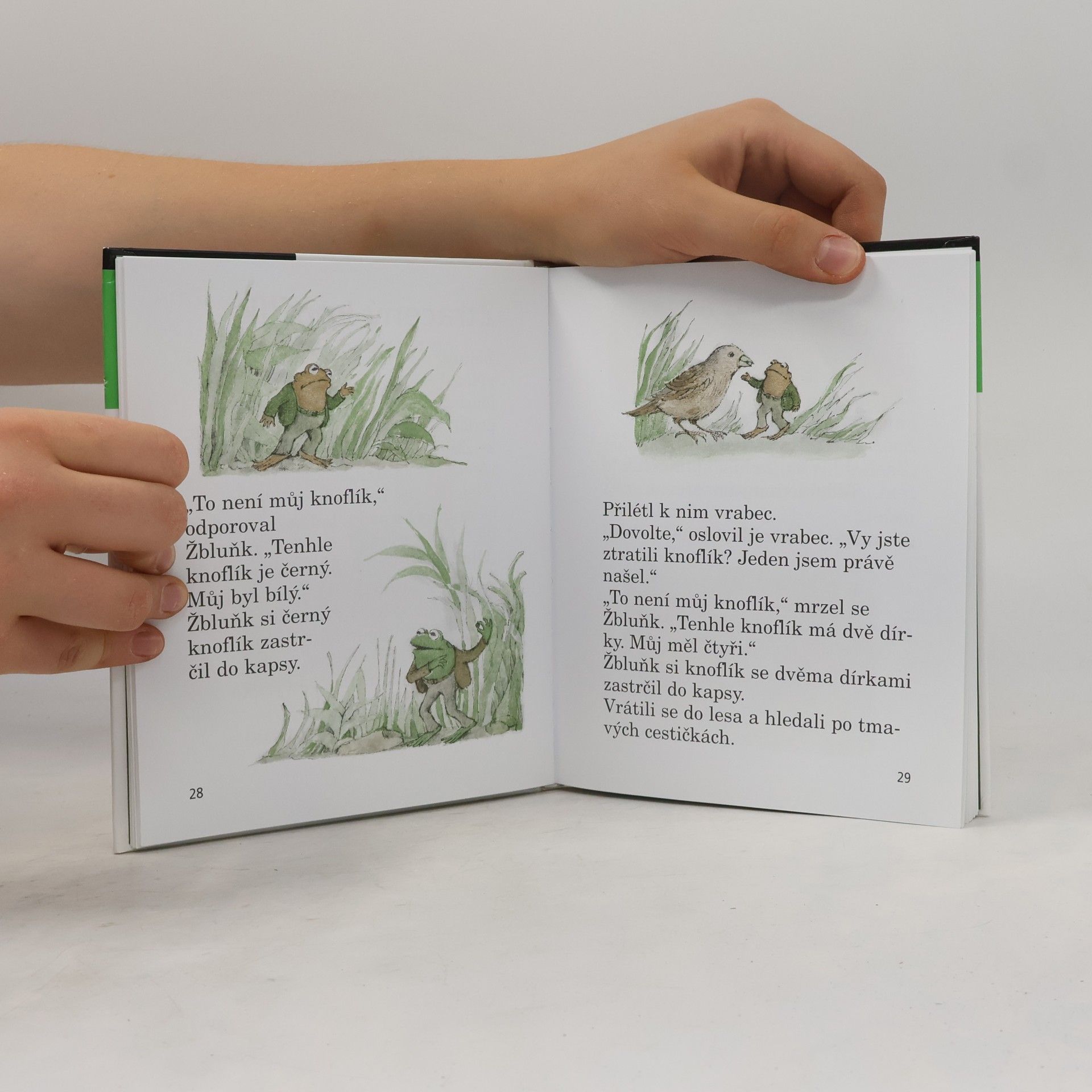 Arnold Lobel Kvak a Žbluňk jsou kamarádi