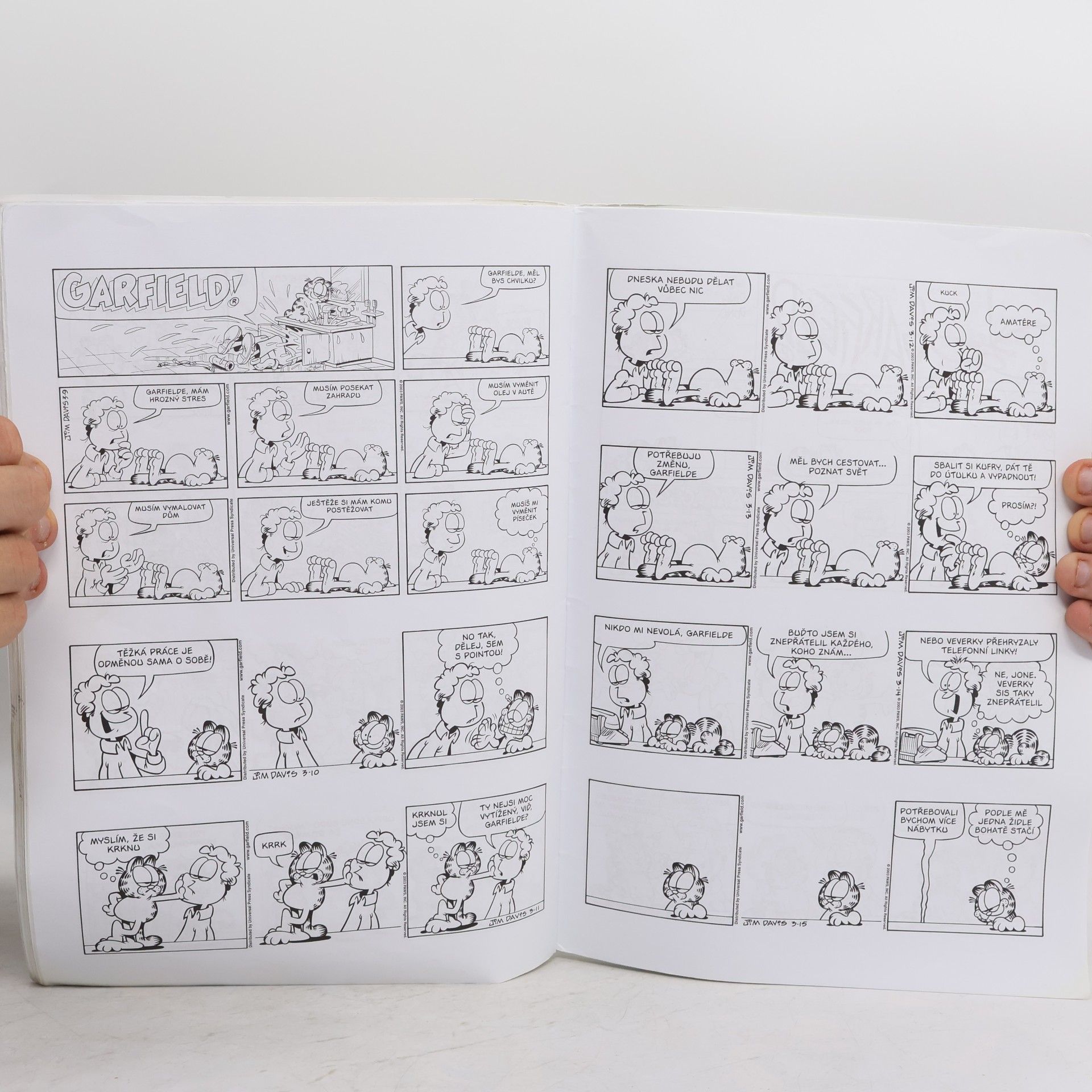 Jim Davis Garfield u koryta (41. díl)