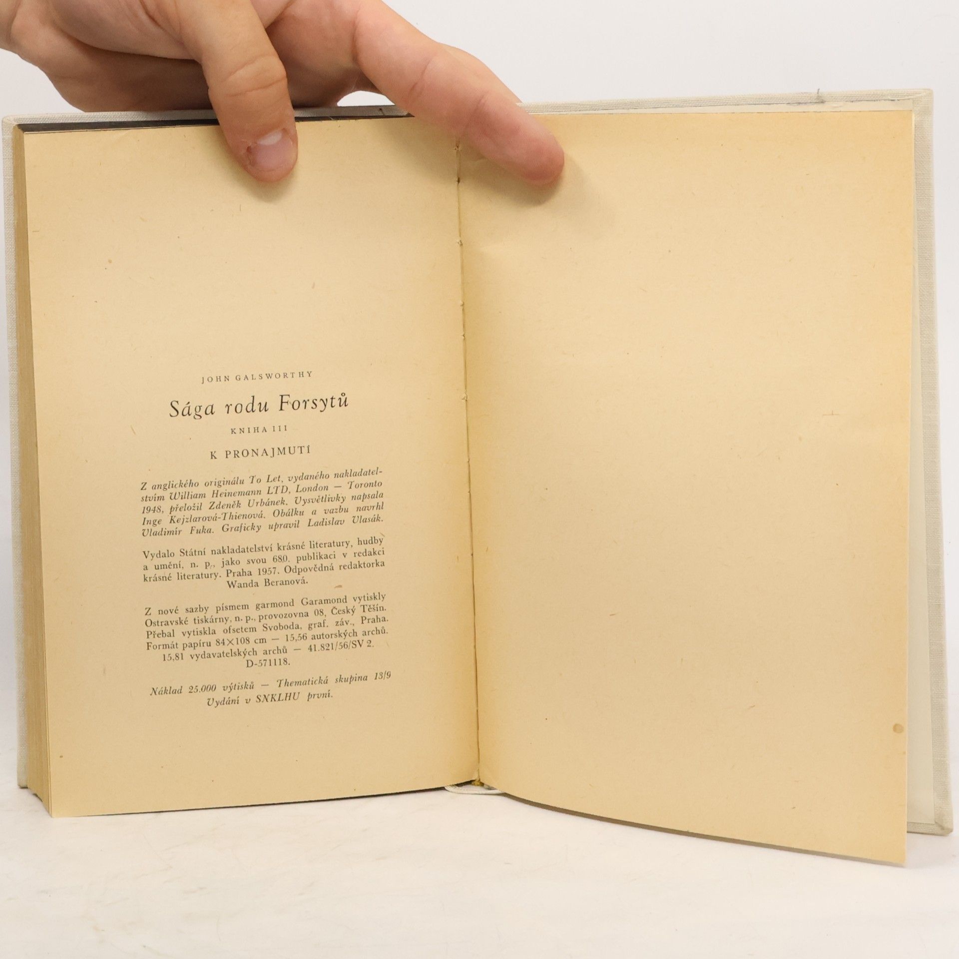 John Galsworthy Sága rodu Forsytů 3. K pronajmutí