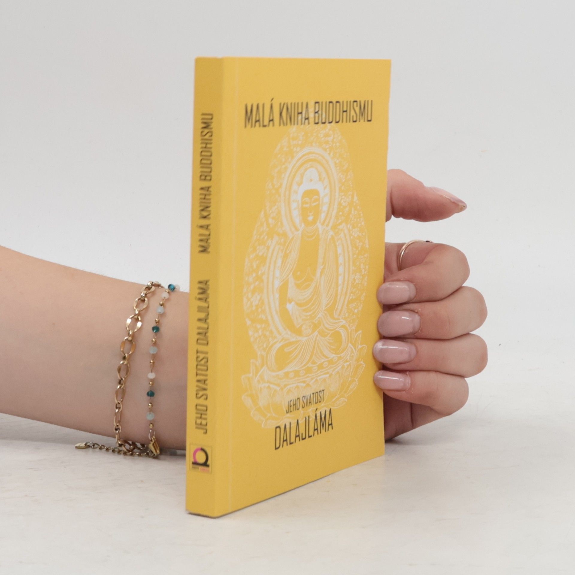 Bstan\'dzinrgyamtsho Malá kniha buddhismu
