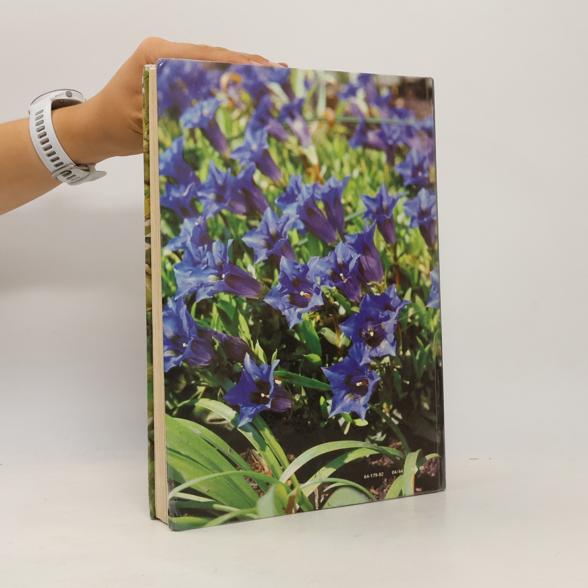 Karel Floos Jeseň v záhrade