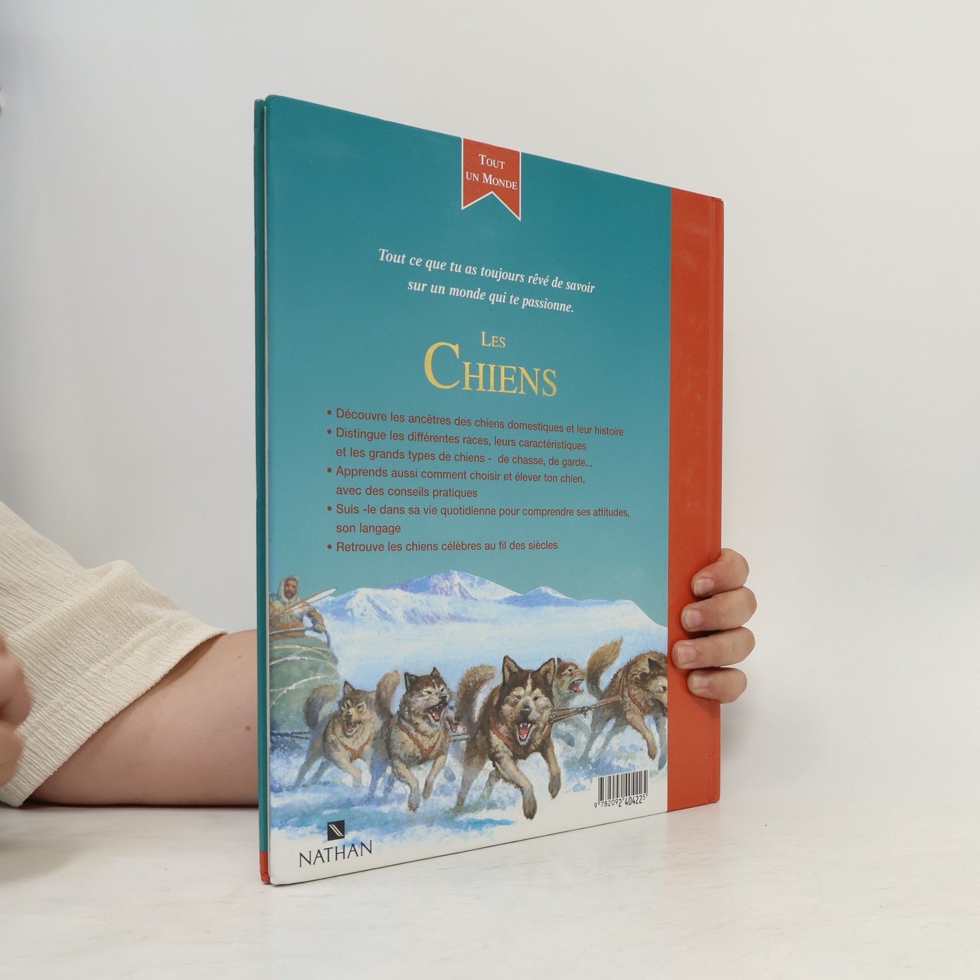 Amanda O´Neill Les Chiens