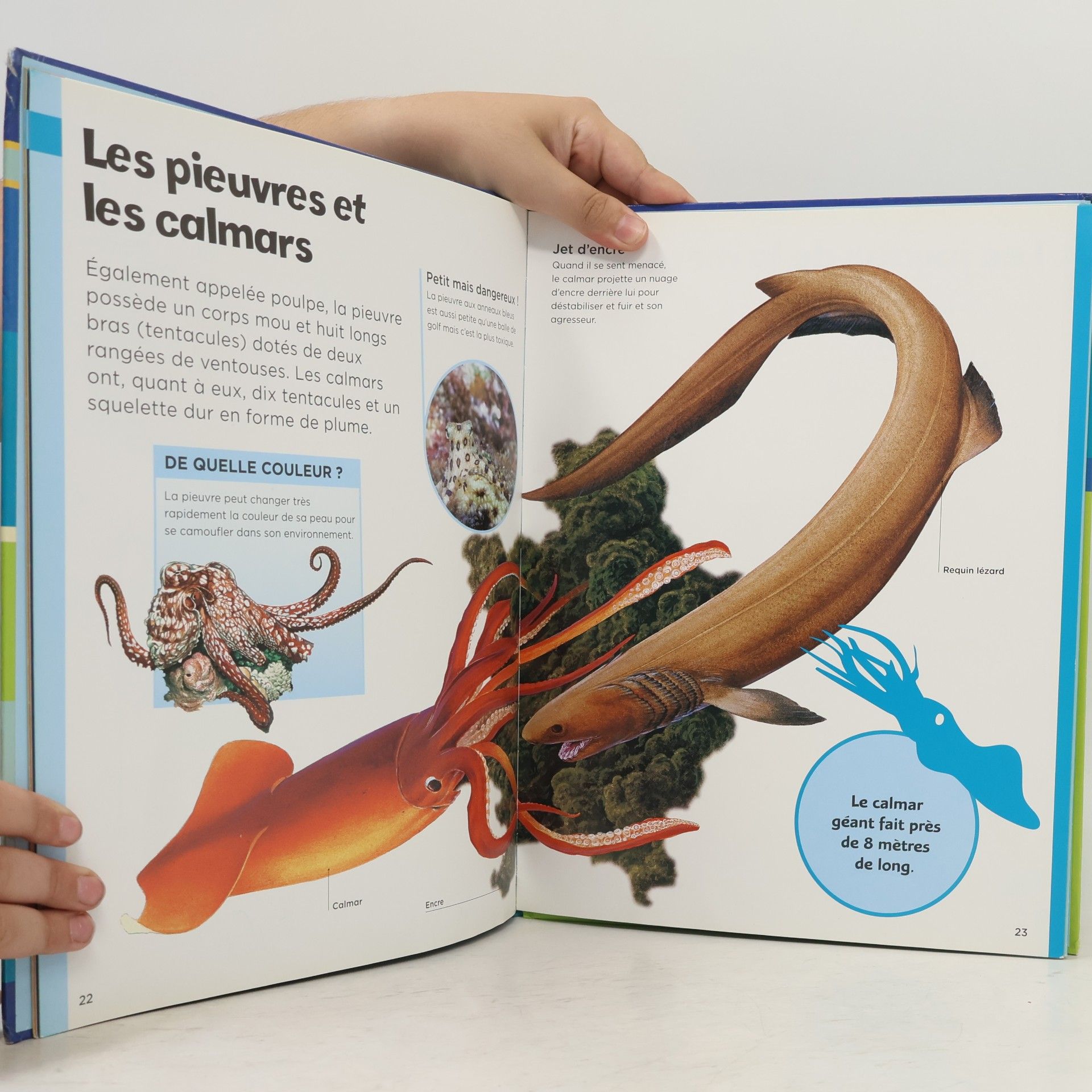 Robert Coupe Ma première encyclopédie sur les créatures des mers