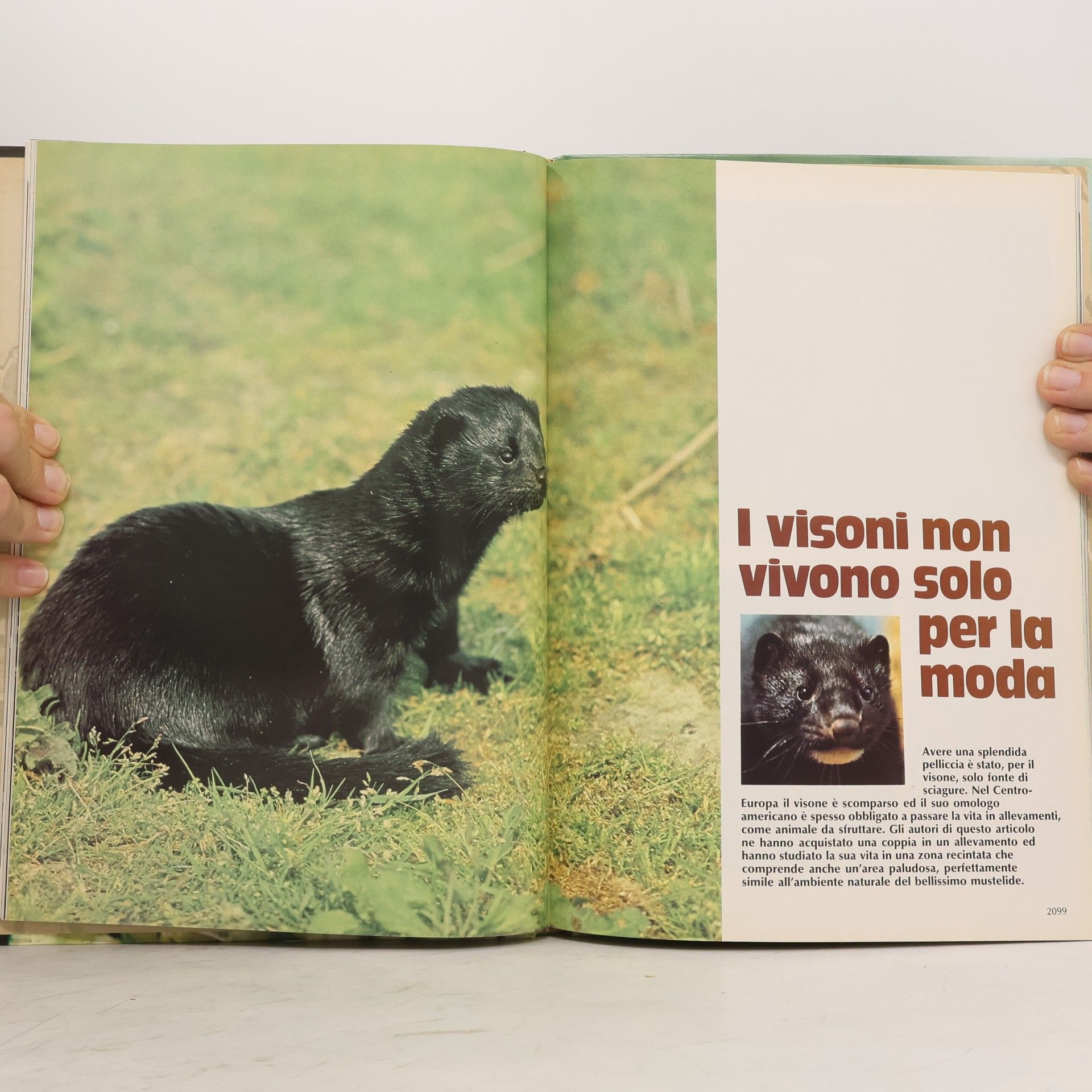 Heinz Sielmann Vita degli animali 17