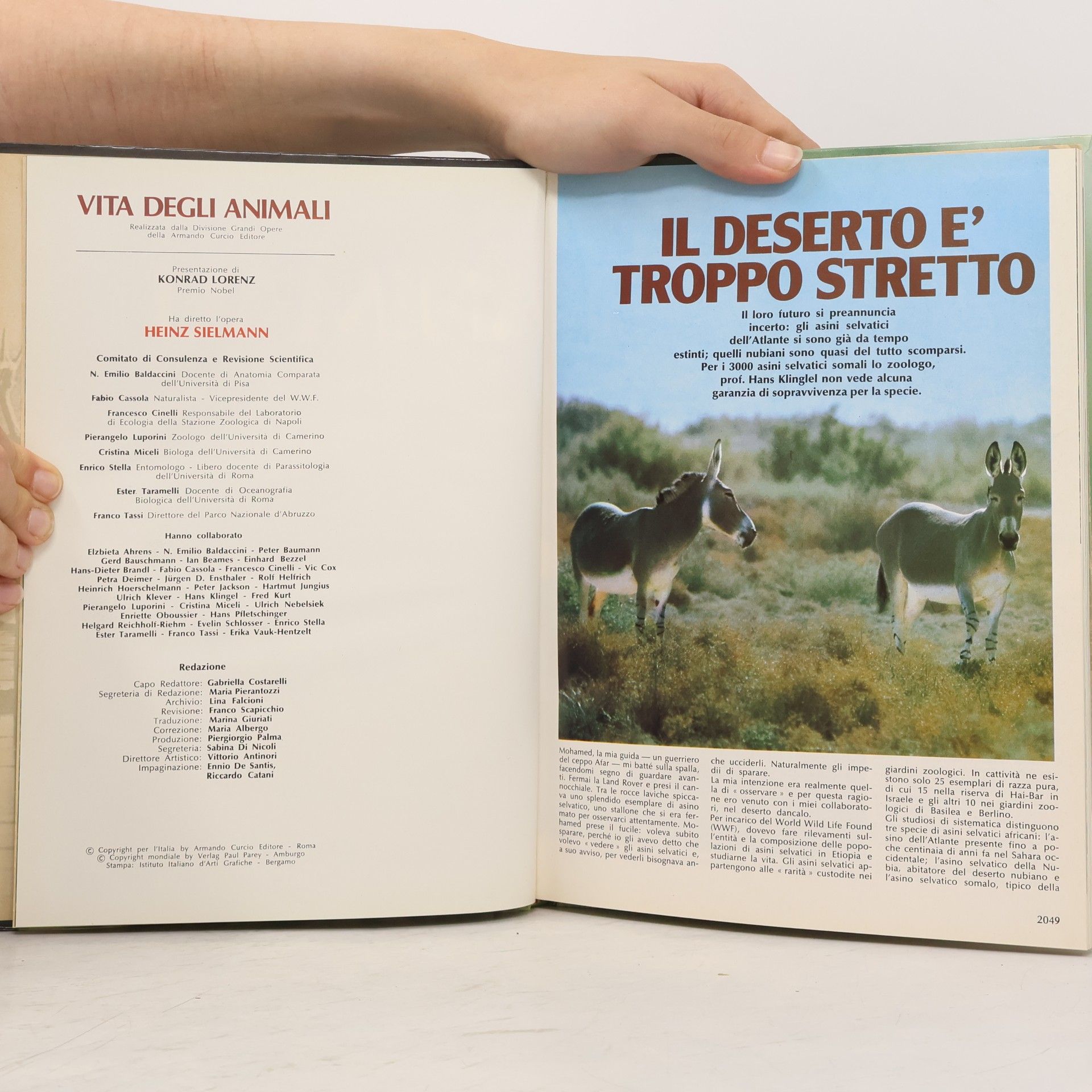 Heinz Sielmann Vita degli animali 17