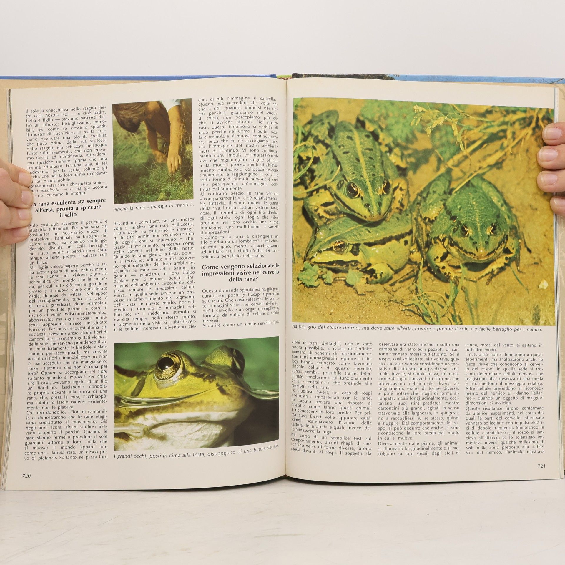 Konrad Lorenz Vita degli animali