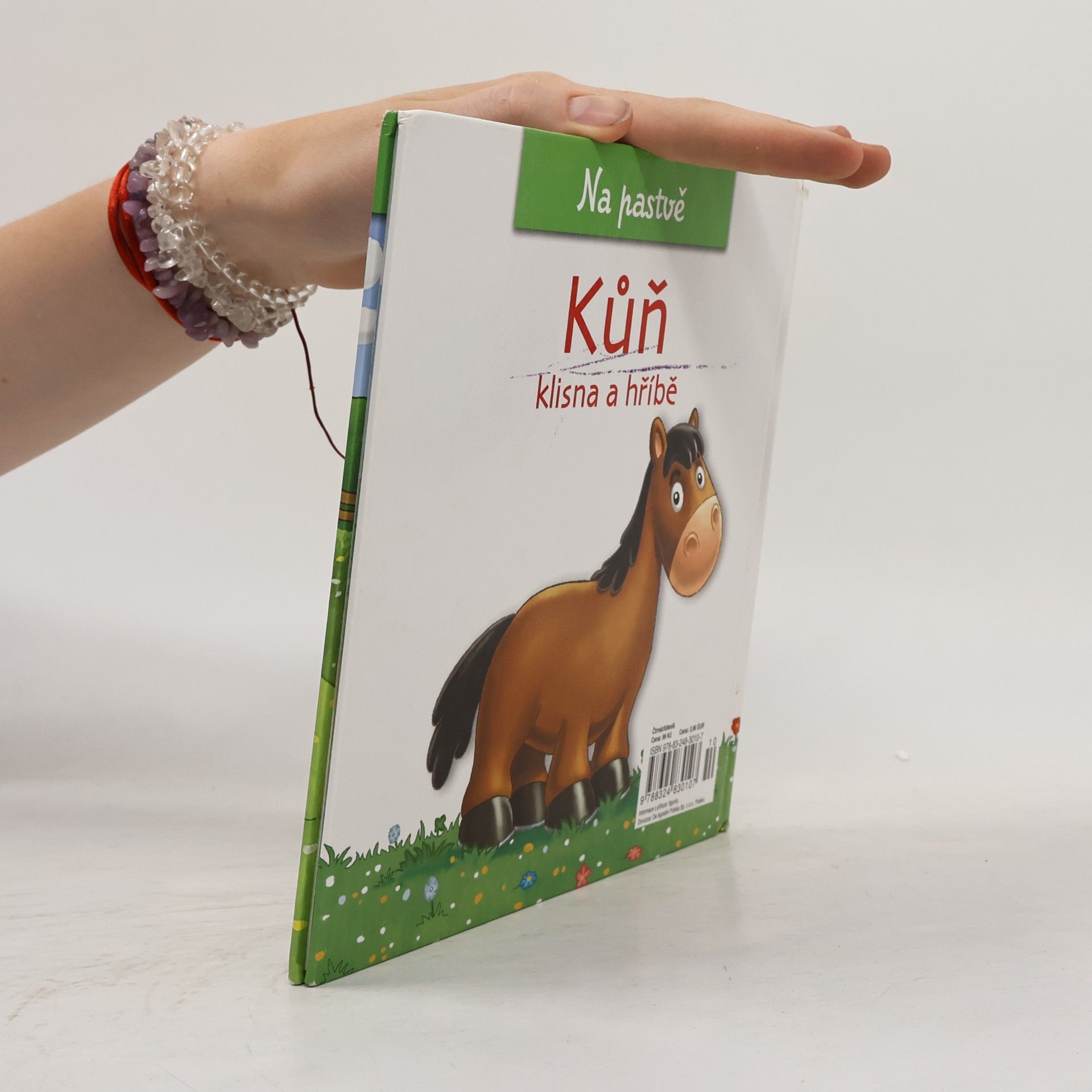Christine Serbource Kůň, klisna a hříbě