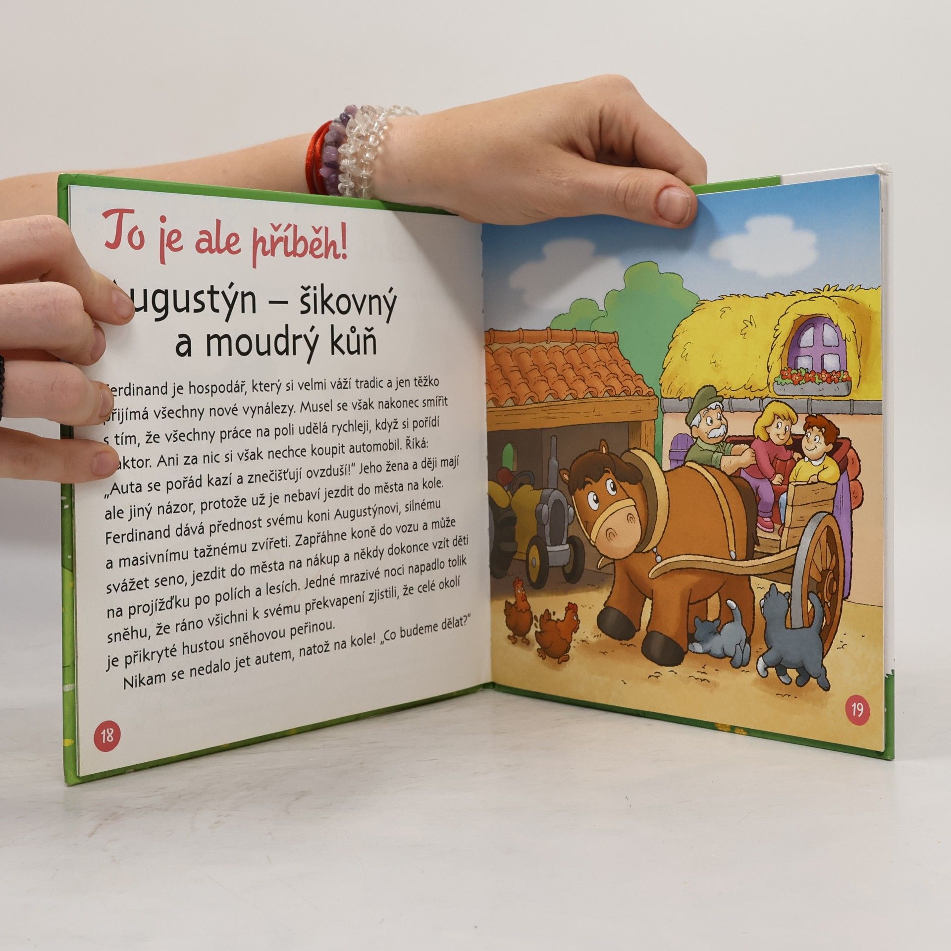 Christine Serbource Kůň, klisna a hříbě